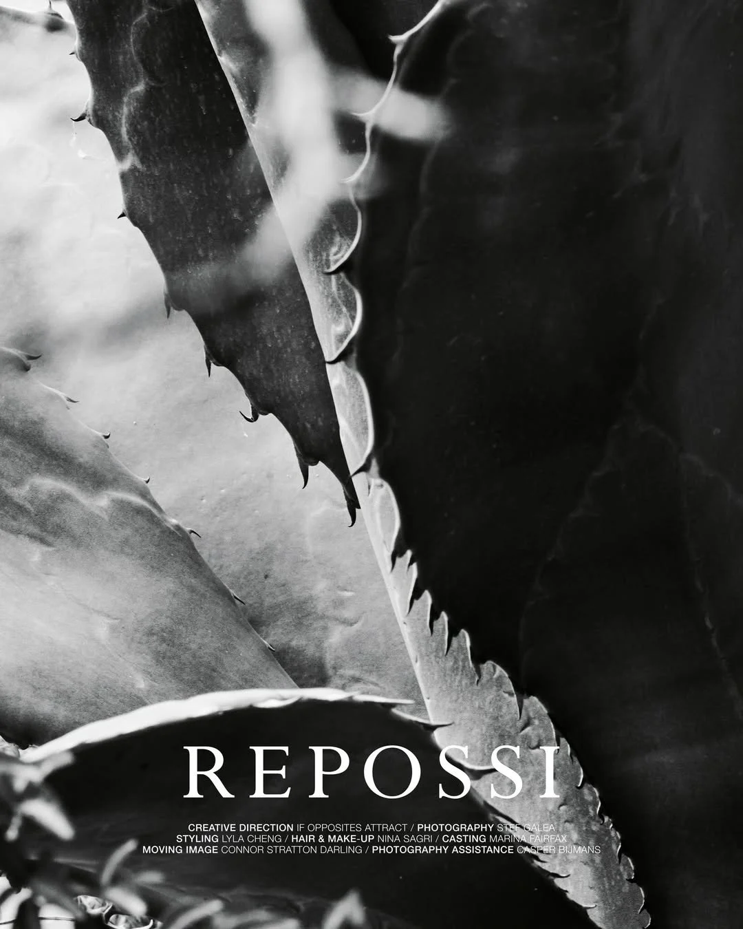 REPOSSI