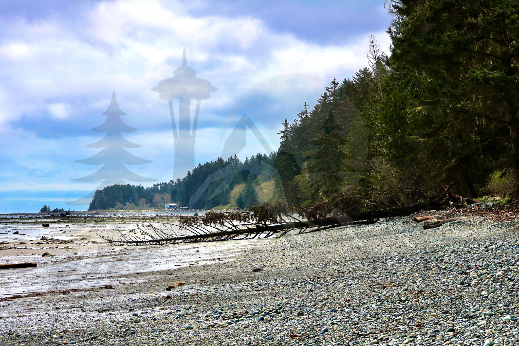 Murdock Beach, Port Angeles WA