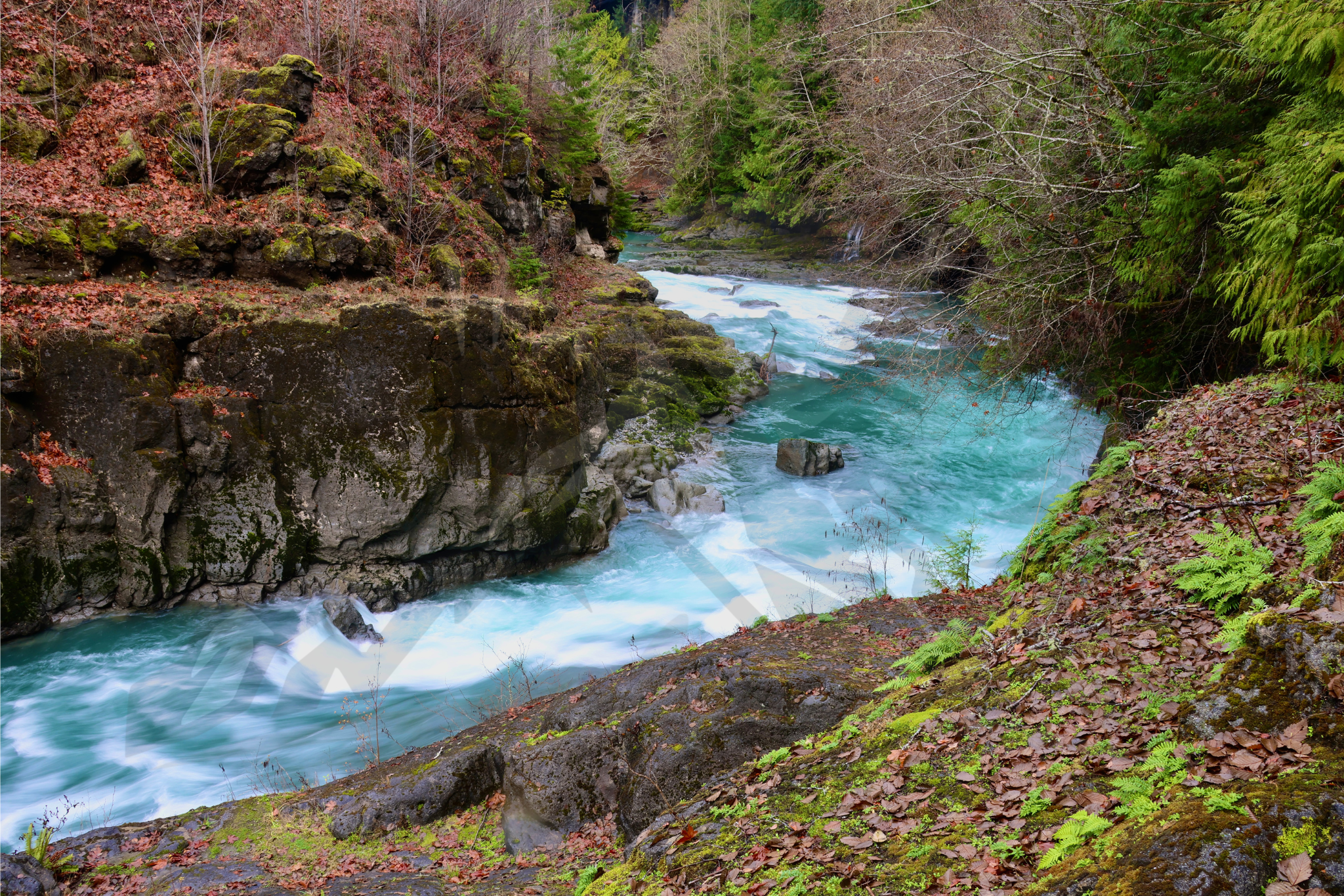Old Elwha River Damsite, Port Angeles WA