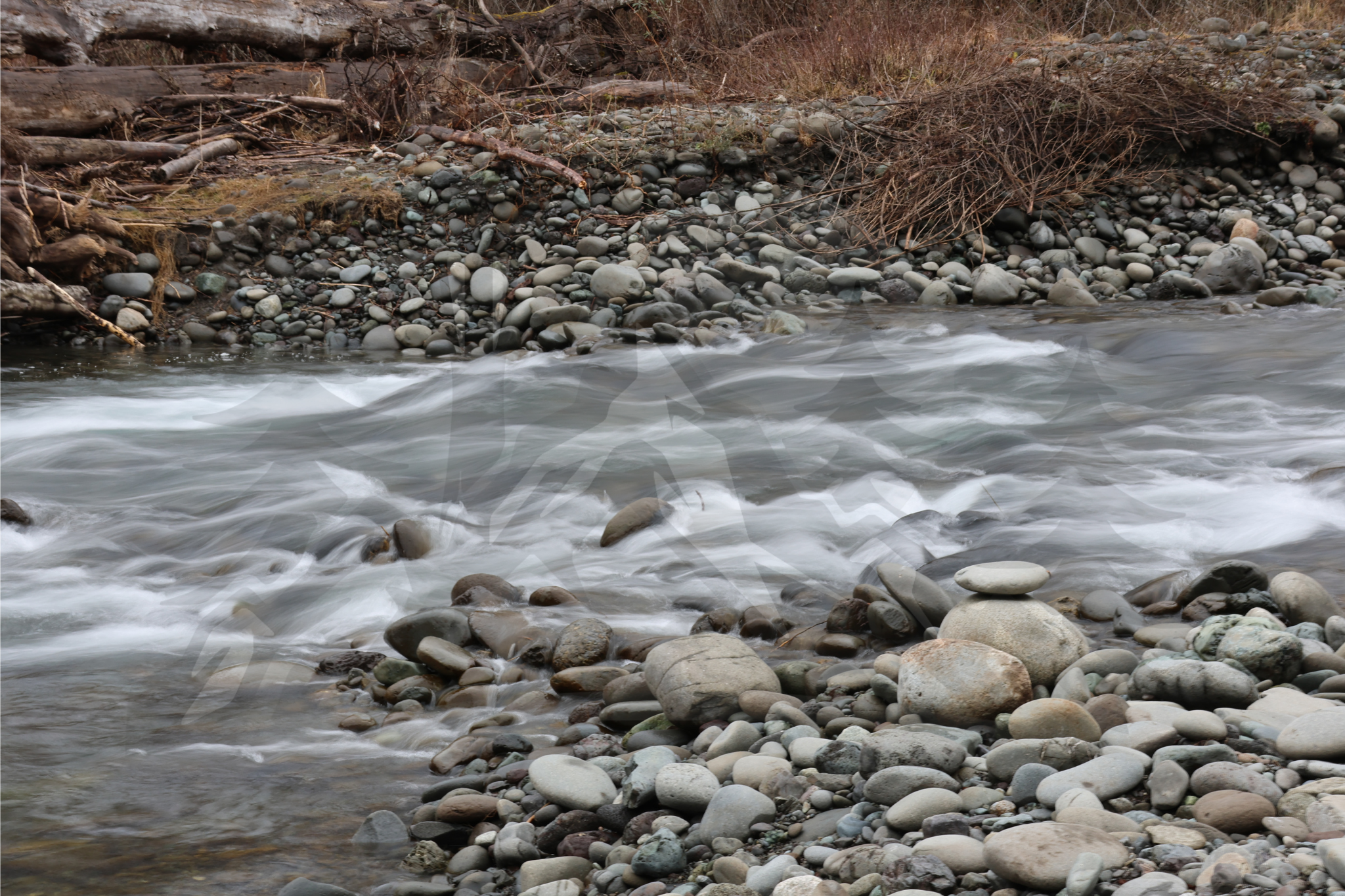 Dungeness River, Sequim WA