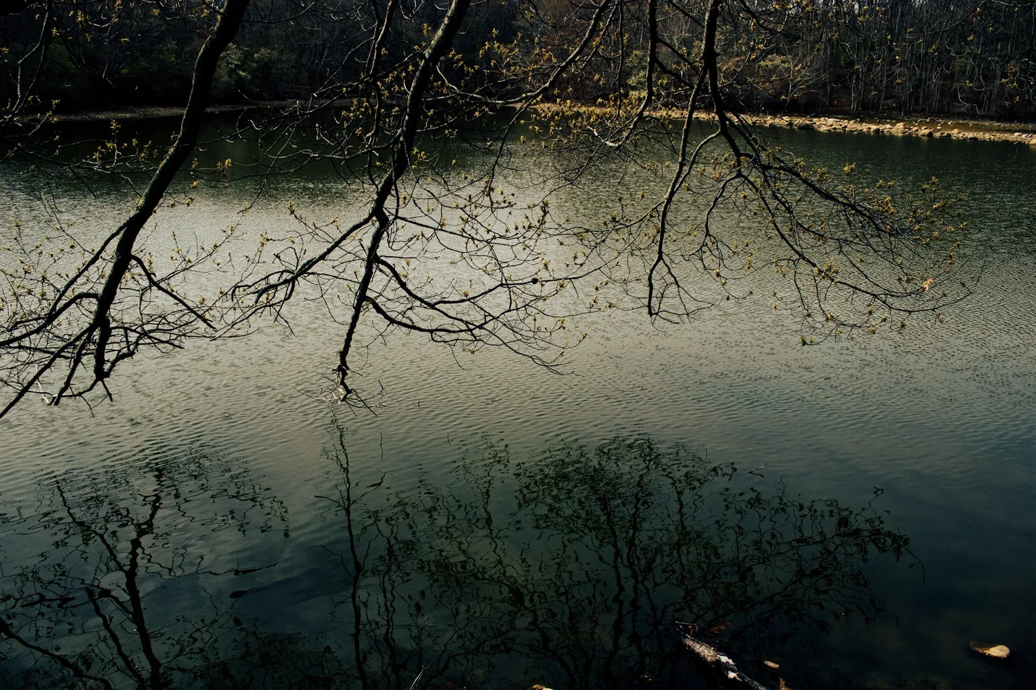 Abstract Photography