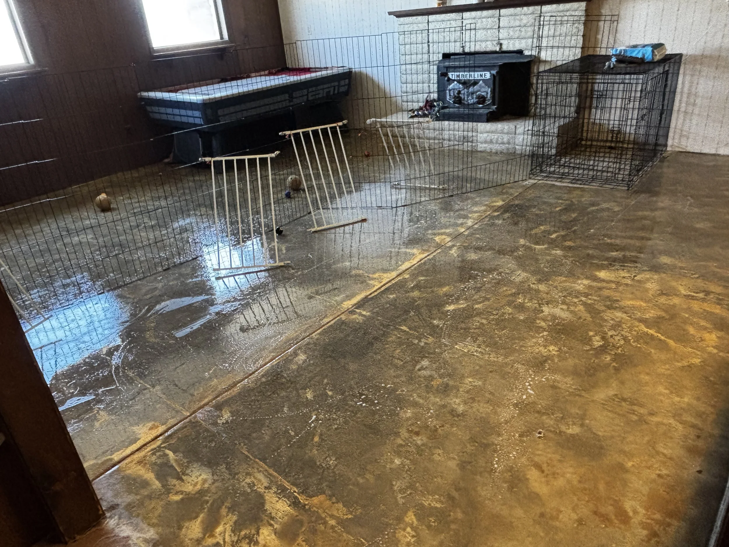 A pet enclosure with a black crate, a white metal gate, and a small black pet house labeled 'TIMBERLINE' against a brick fireplace with a wire wall around it. Items like a blue bag and some toys are inside and outside the enclosure on a concrete floo