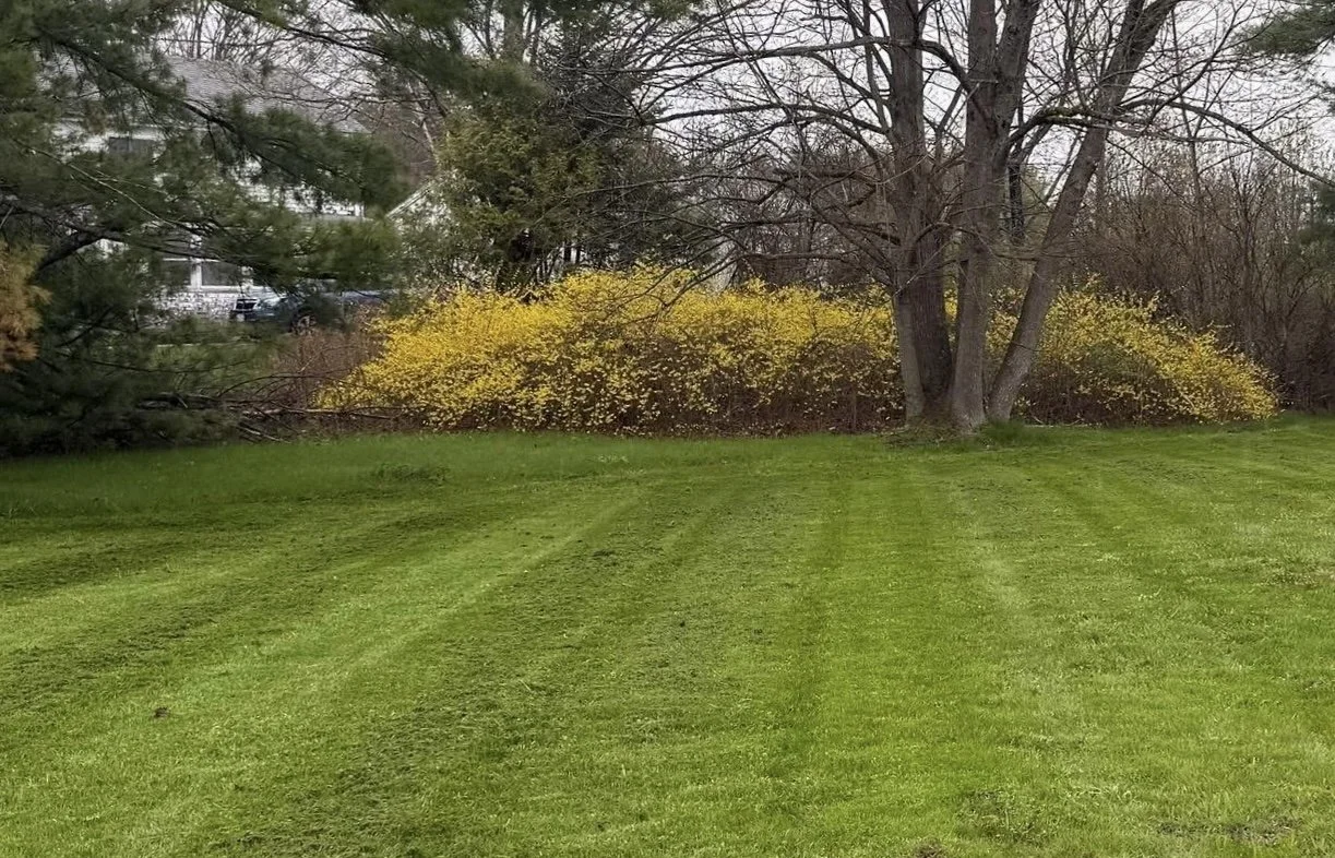 Full Service Lawn Care
