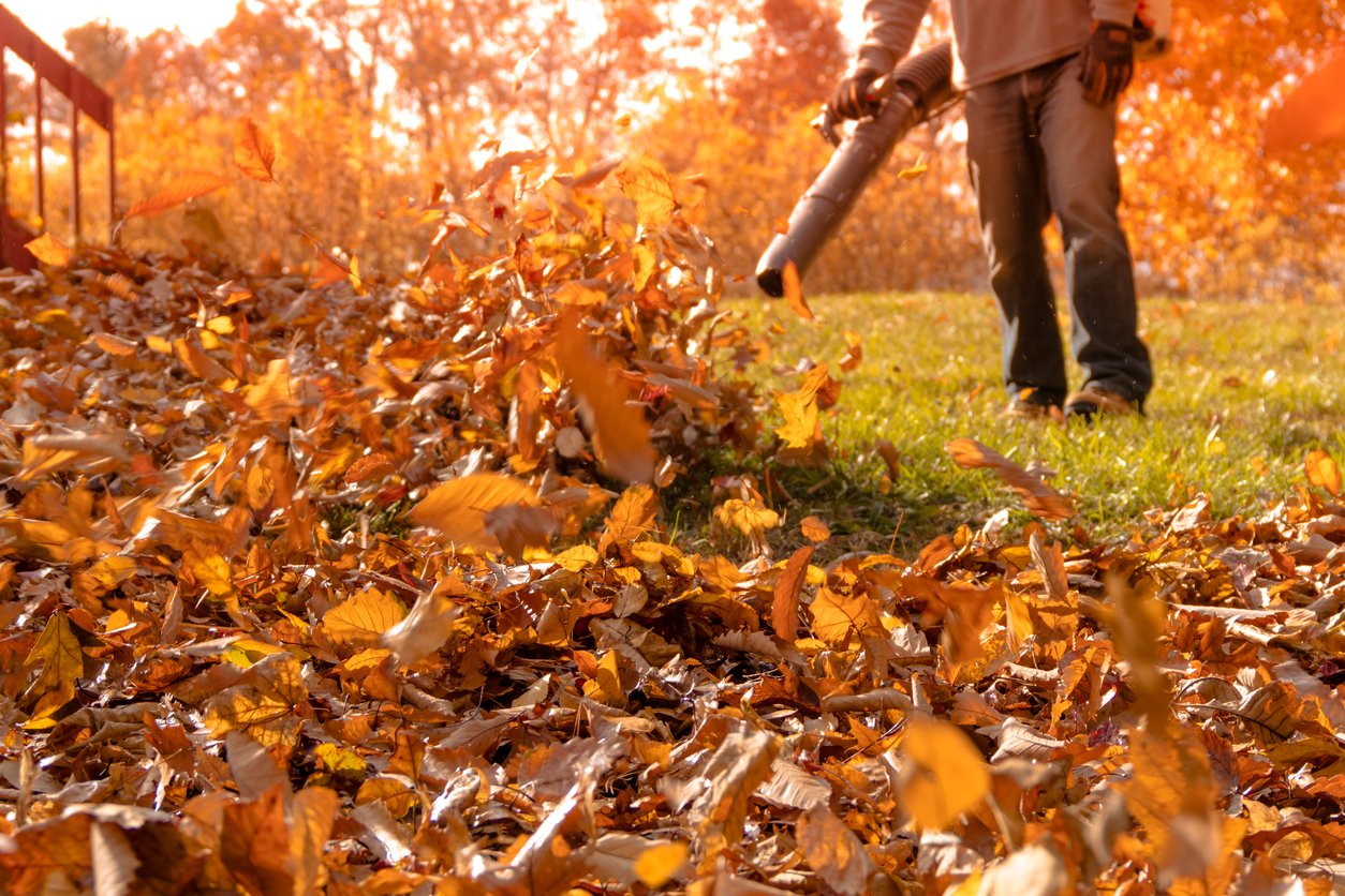 Seasonal Clean Up