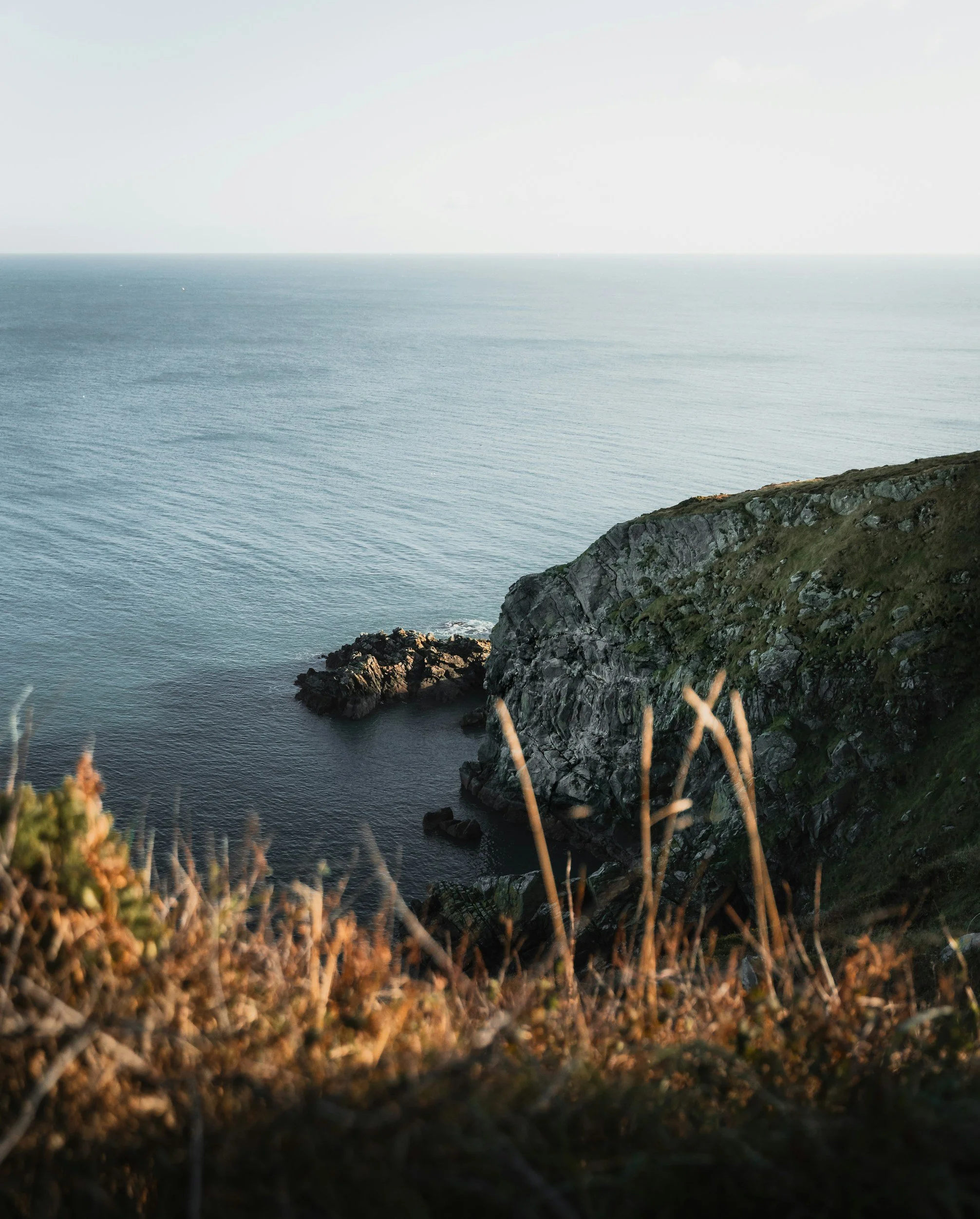 Cliffside overlooking the ocean with rocky shoreline and some greenery in the foreground.