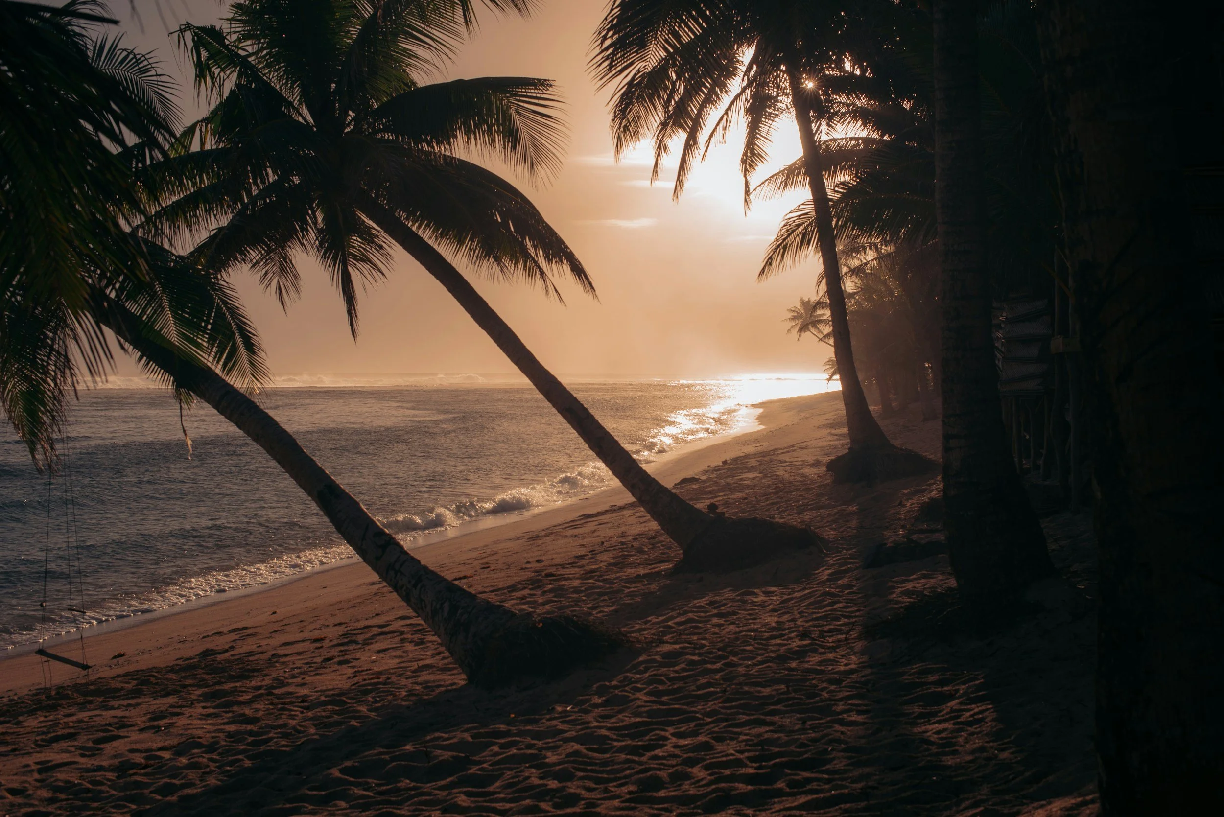 Sunset over a beach with palm trees silhouetted in the foreground, gently lapping waves on the shoreline, creating a peaceful tropical scene.