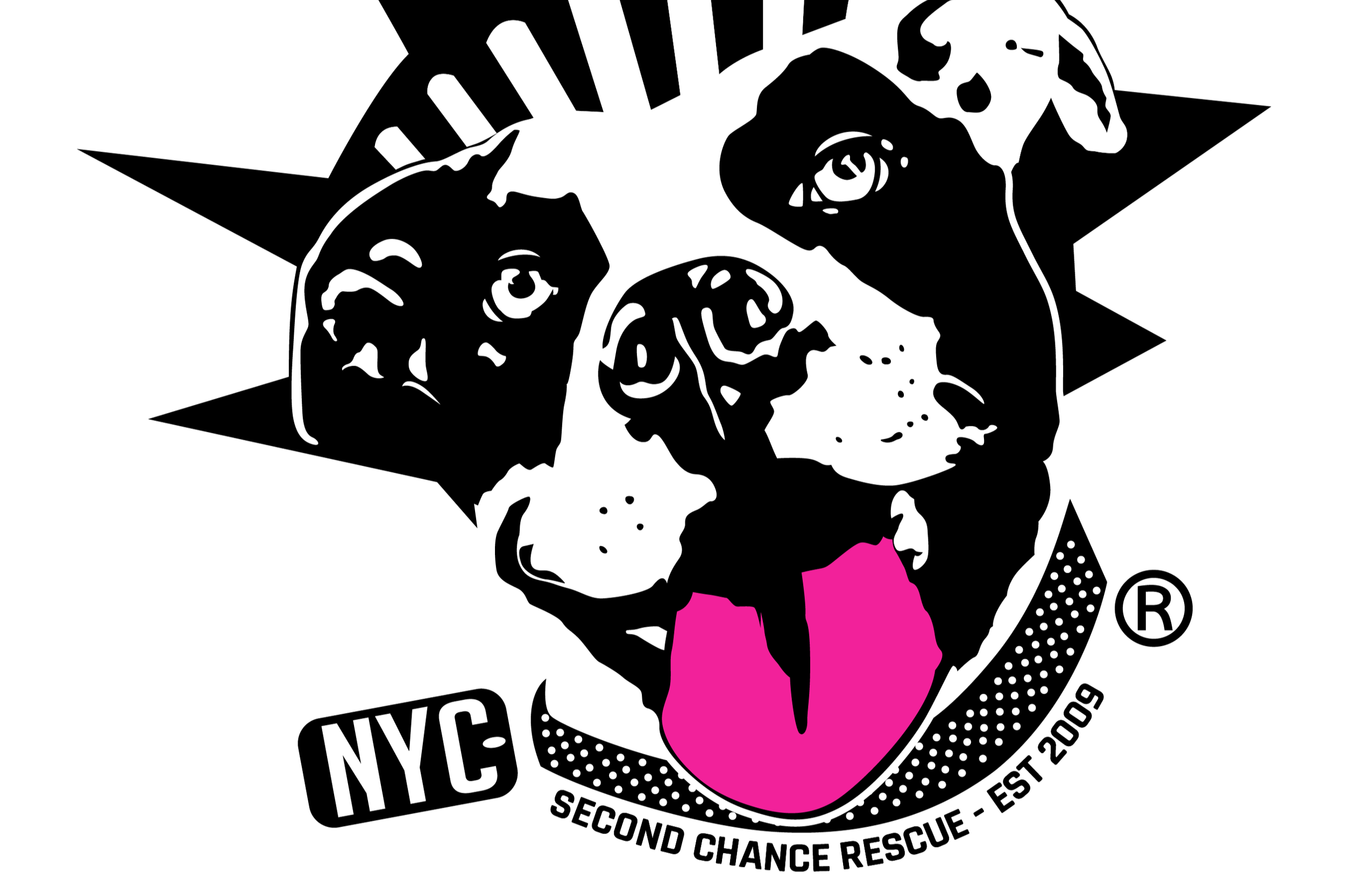 Second Chance Rescue