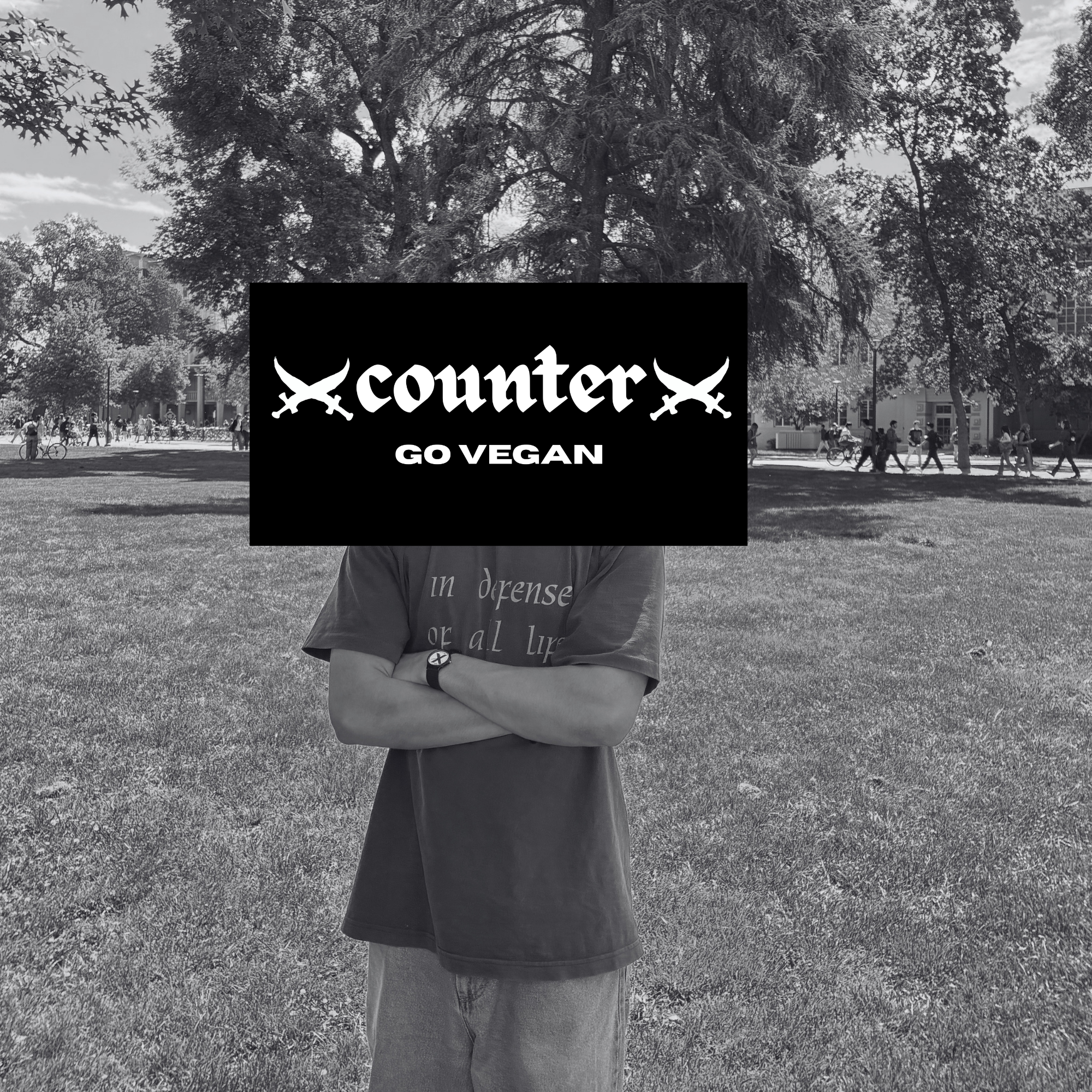 COUNTER FANZINE