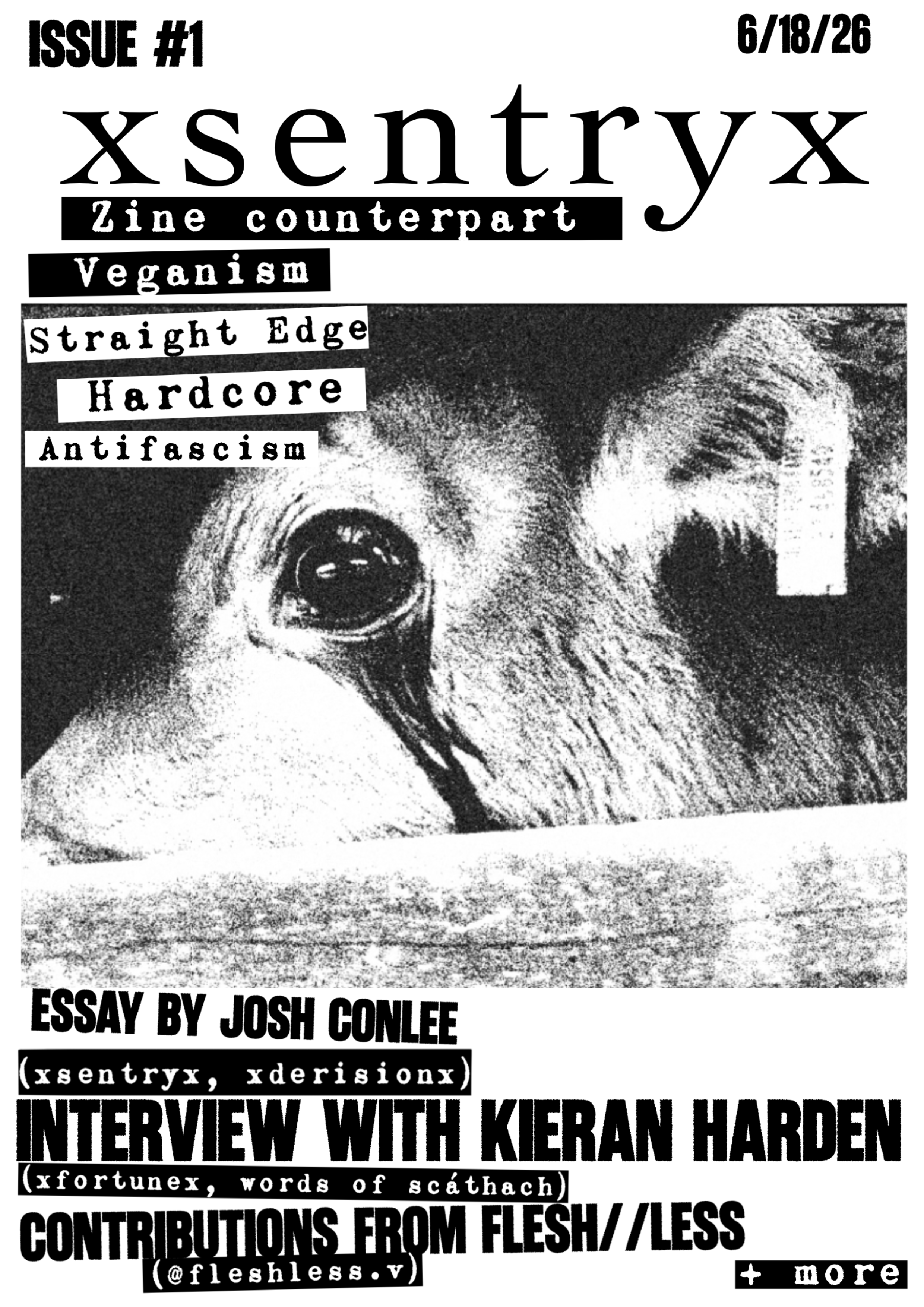 Untitled_Artwork 5.PNG