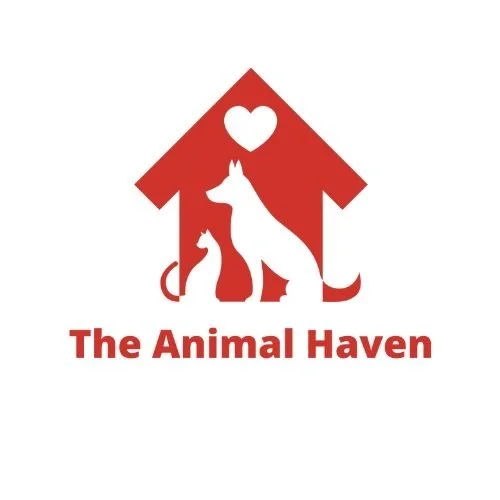 The Animal Haven
