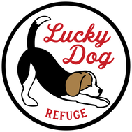 Lucky Dog Refuge