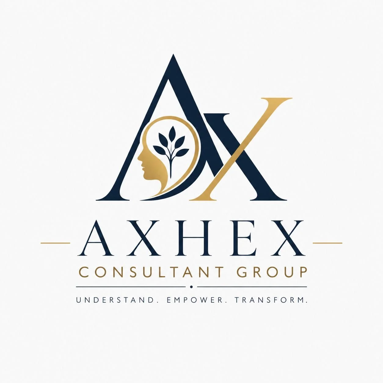 Axhex Consulting Group 