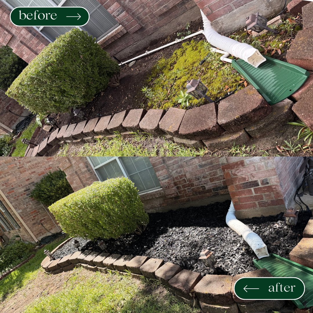 Residential flower bed before mulch application in Dallas, Texas.