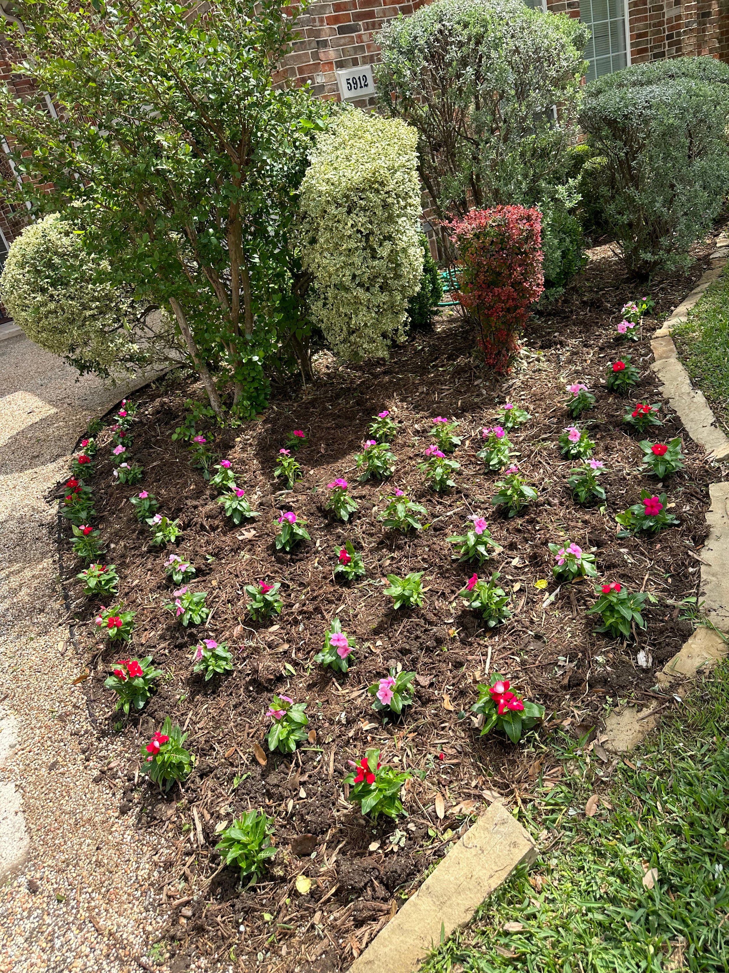 Garden bed with pink and red flowers, shrubbery, and a brick house wall with a window and house number 5912.