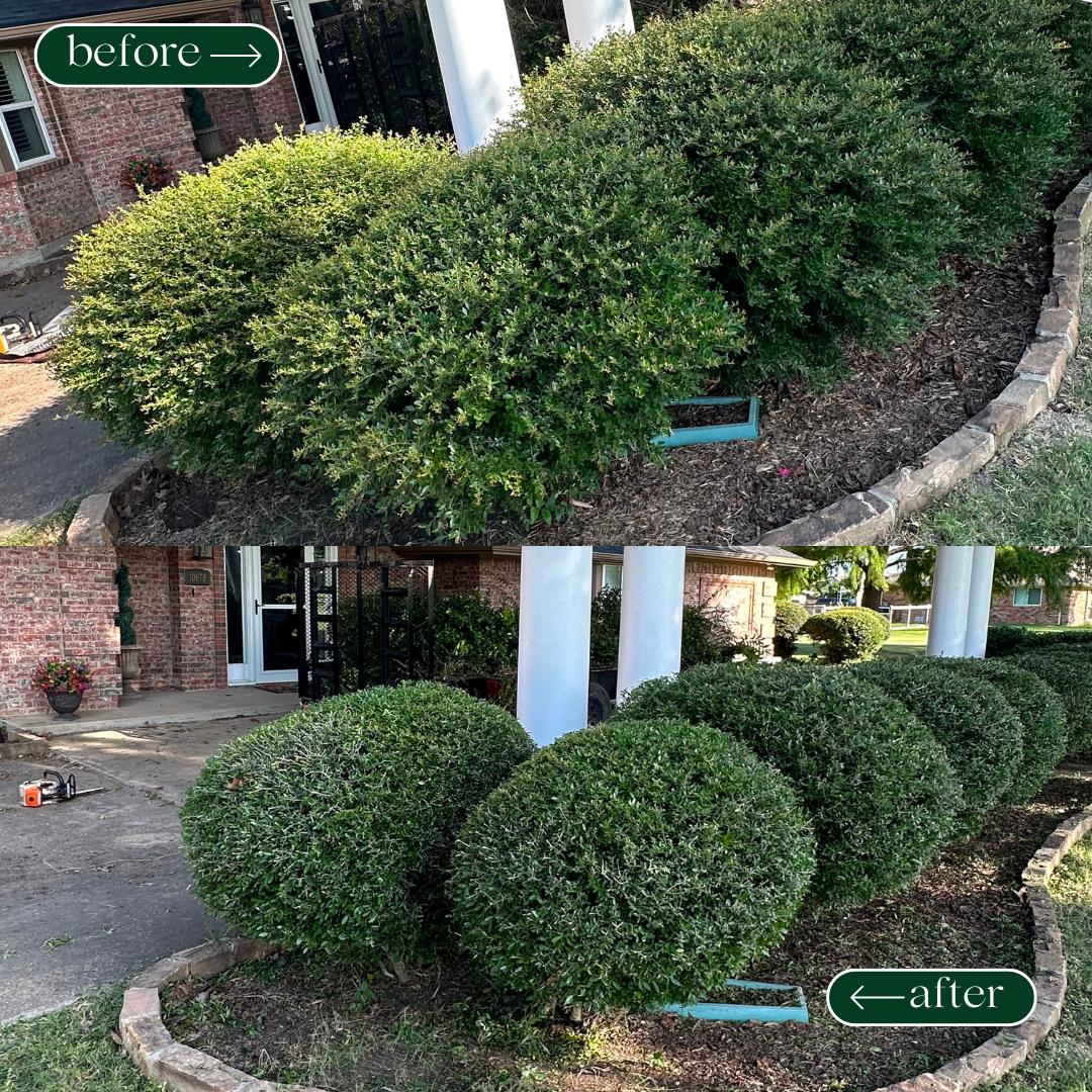 Bush Trimming