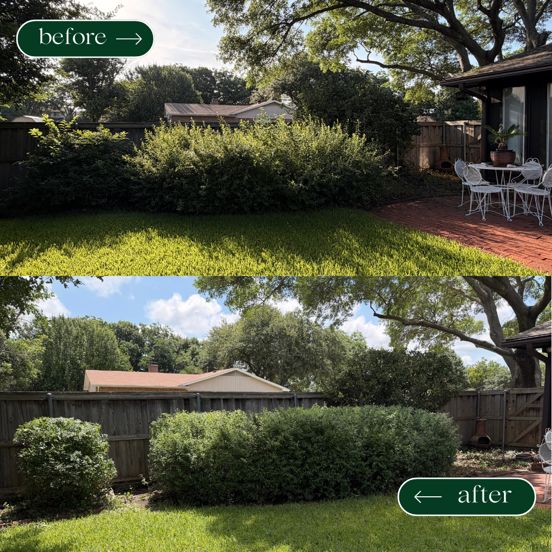 Before & After photo of overgrown hedges at a residential property in Dallas, Texas.