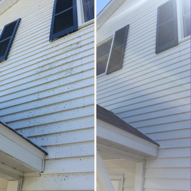 Siding 16.PNG