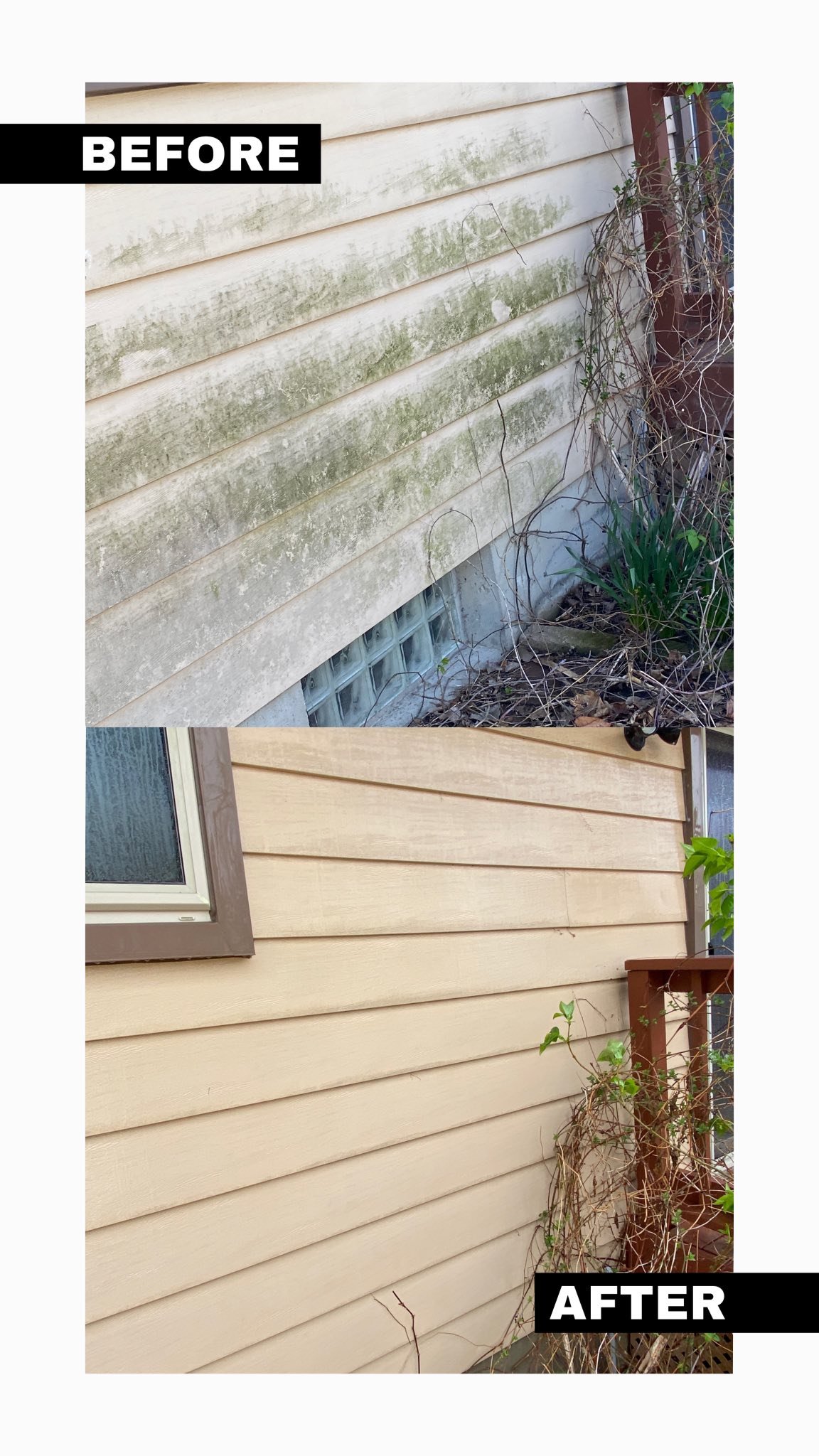 Comparison of house siding before and after cleaning; the top image shows dirty, moldy siding, the bottom image shows clean, freshly painted siding.