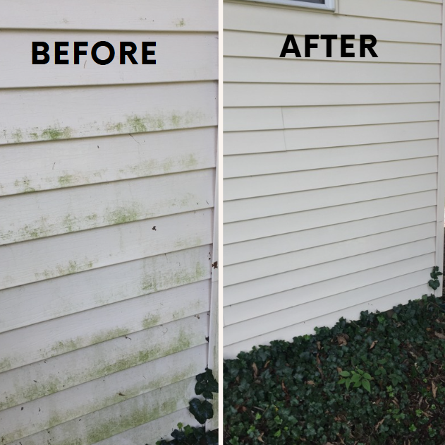 Siding 8.PNG