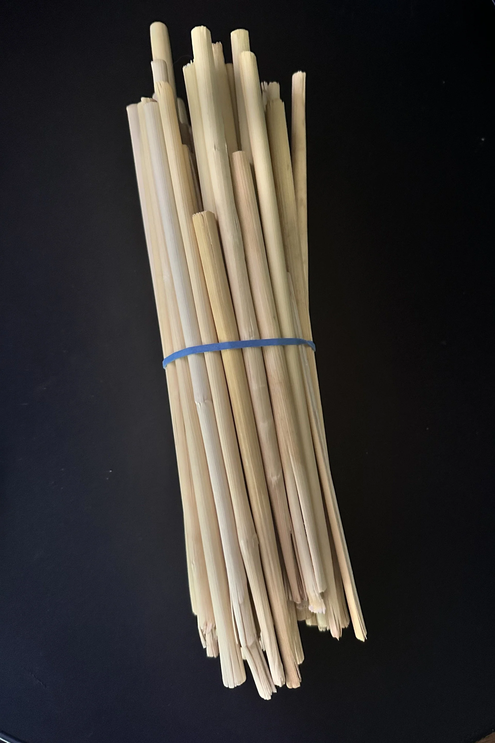 Bundle of reeds.jpg