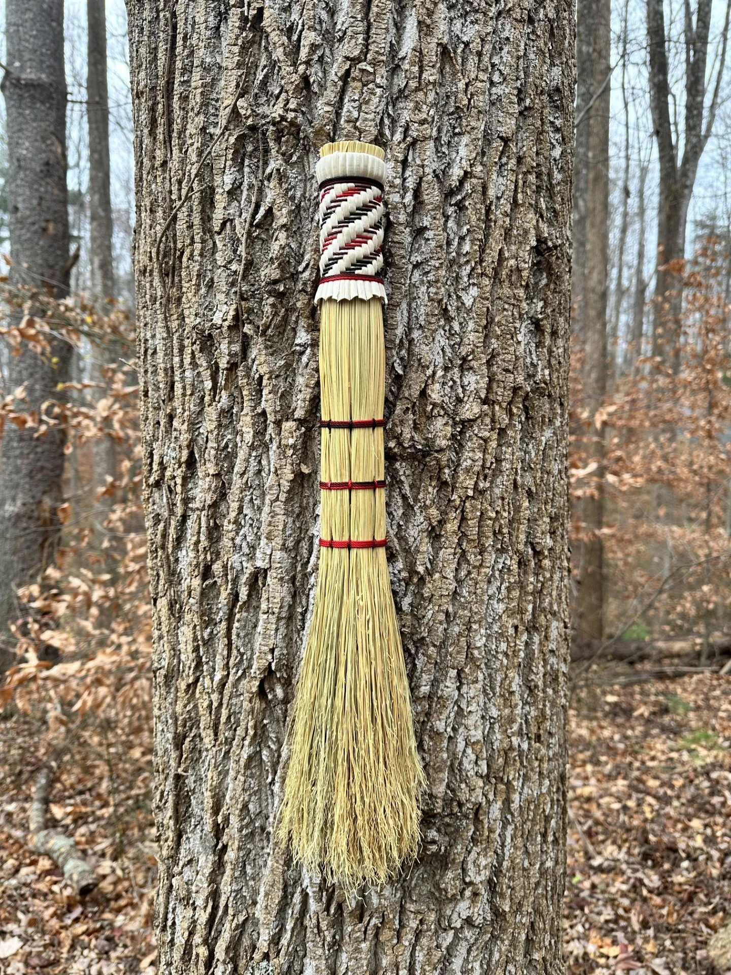 Broom 8.jpg