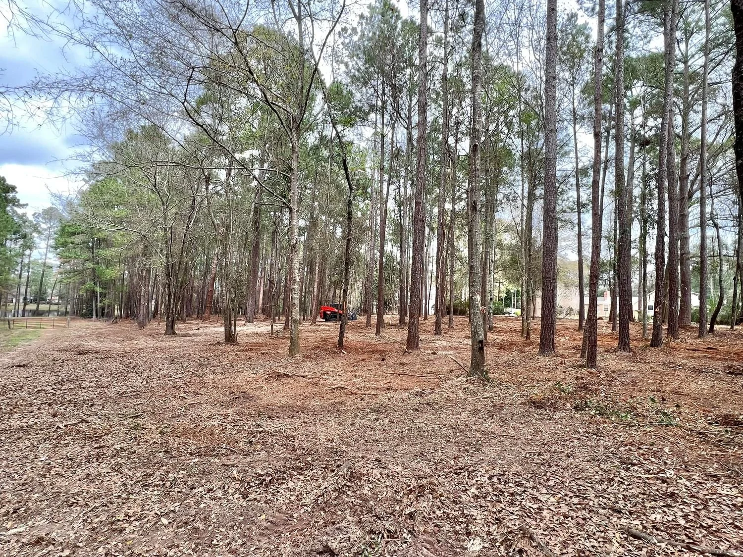A wooded area with tall trees and a cleared ground covered with leaves. A red vehicle is partially visible among the trees in the background.