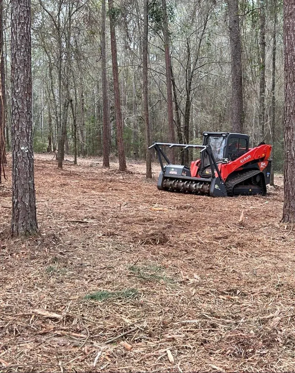 A red Kubota compact track loader with a mulching attachment in a forest clearing with tall trees and a dirt forest floor.