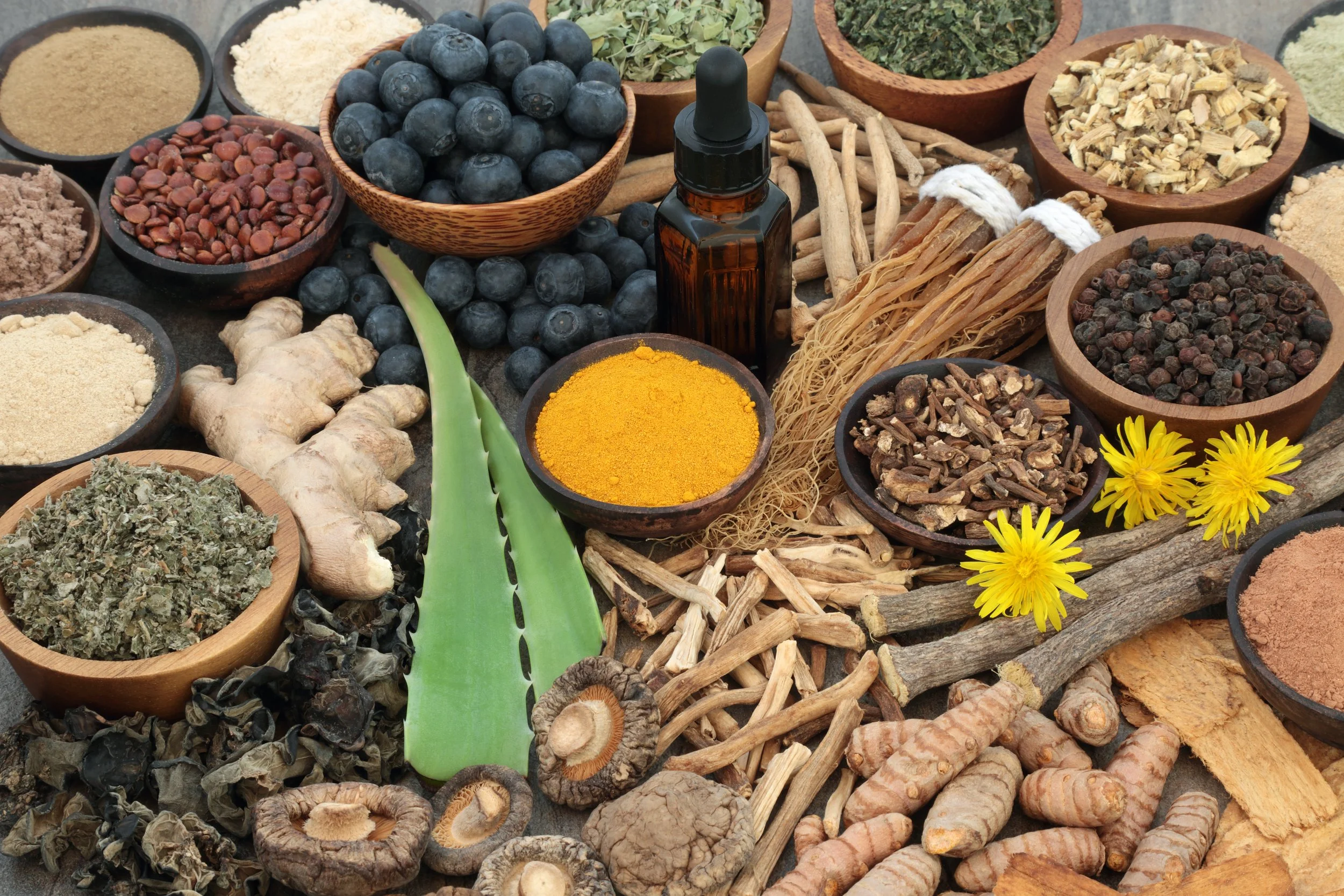 Various herbs, spices, and dried plants in bowls and scattered on a surface, including blueberries, turmeric, ginger, and dried roots.