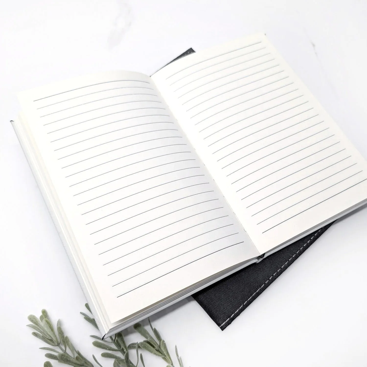 notebook_journal_open.jpg
