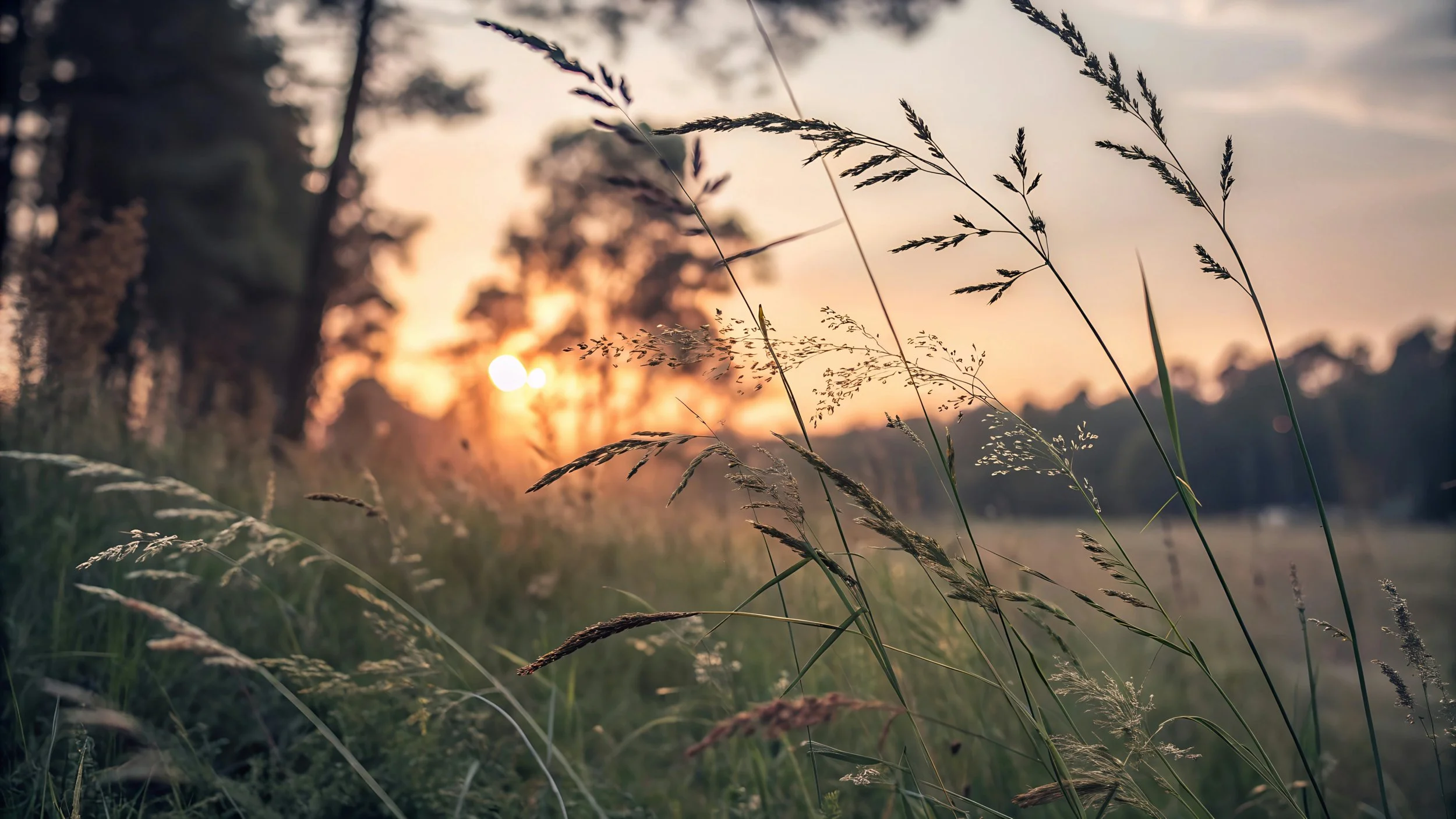 Why Rest Can Feel So Uncomfortable (And Why You Don't Have to Earn It)