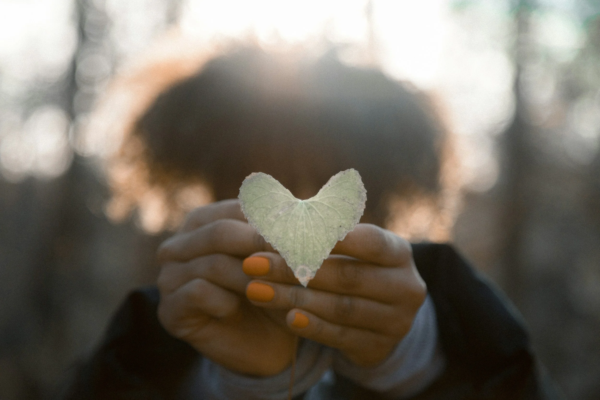 Close-up of a person's hand holding a heart-shaped leaf against a blurred outdoor background.