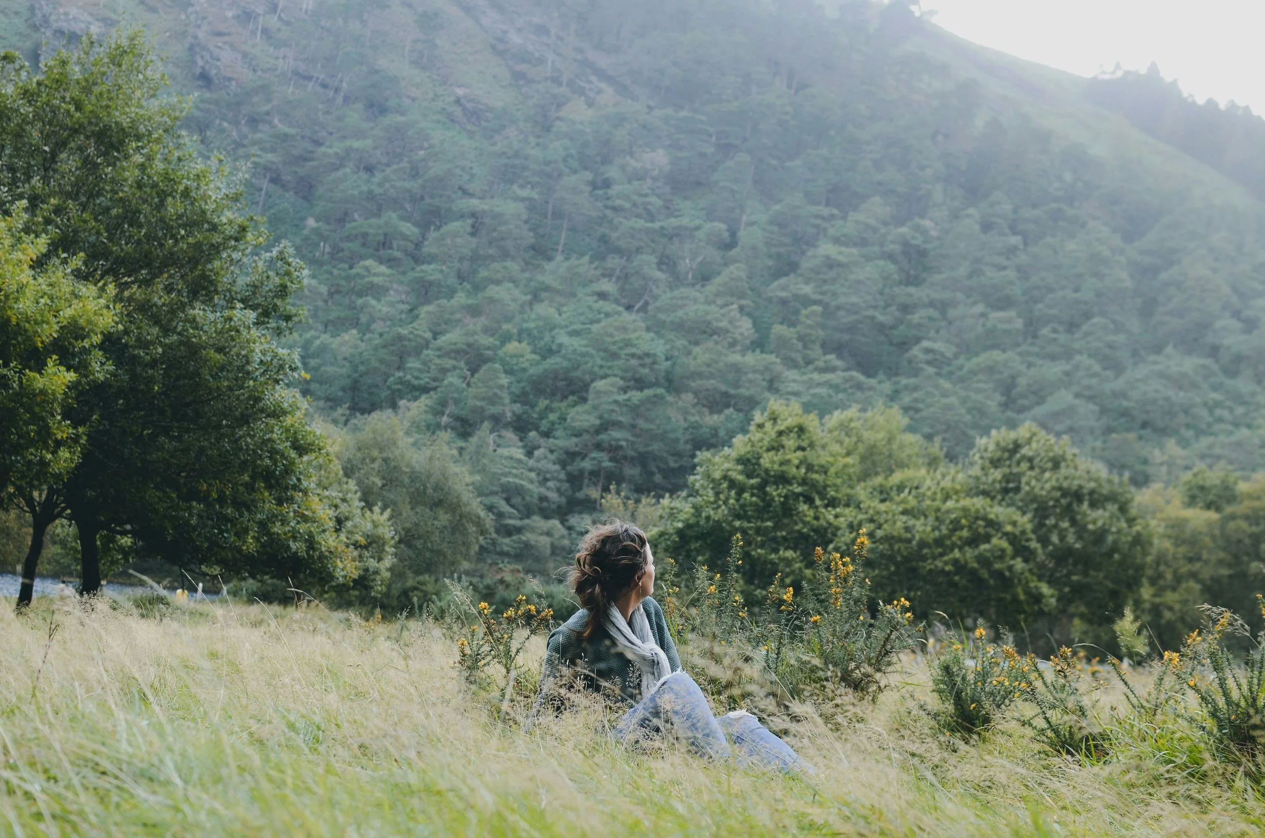 Why Do We Keep Starting Over?