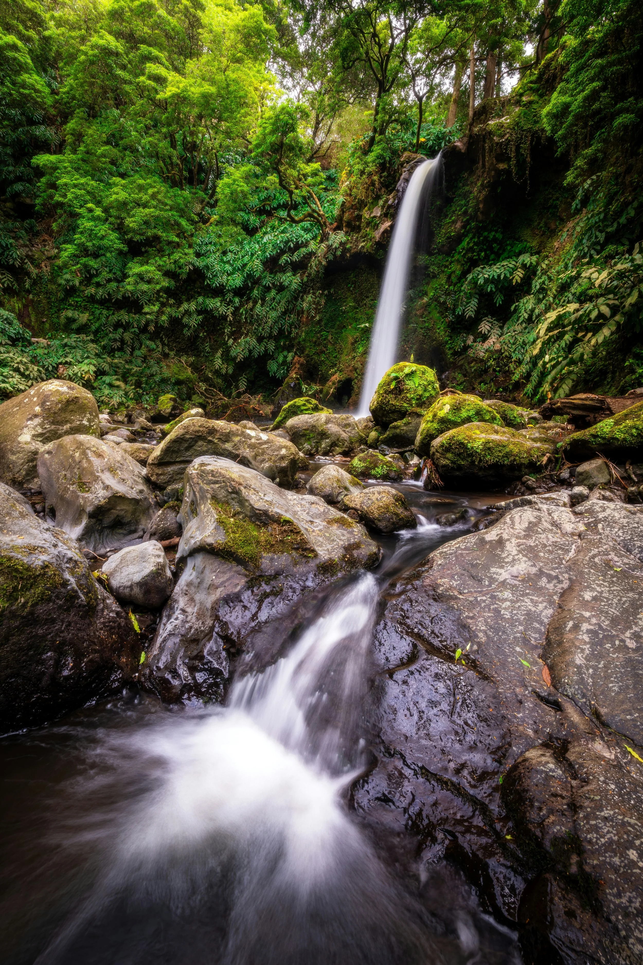 A waterfall cascading down a moss-covered rock face surrounded by lush green trees and vegetation, with rocks and flowing water in the foreground.