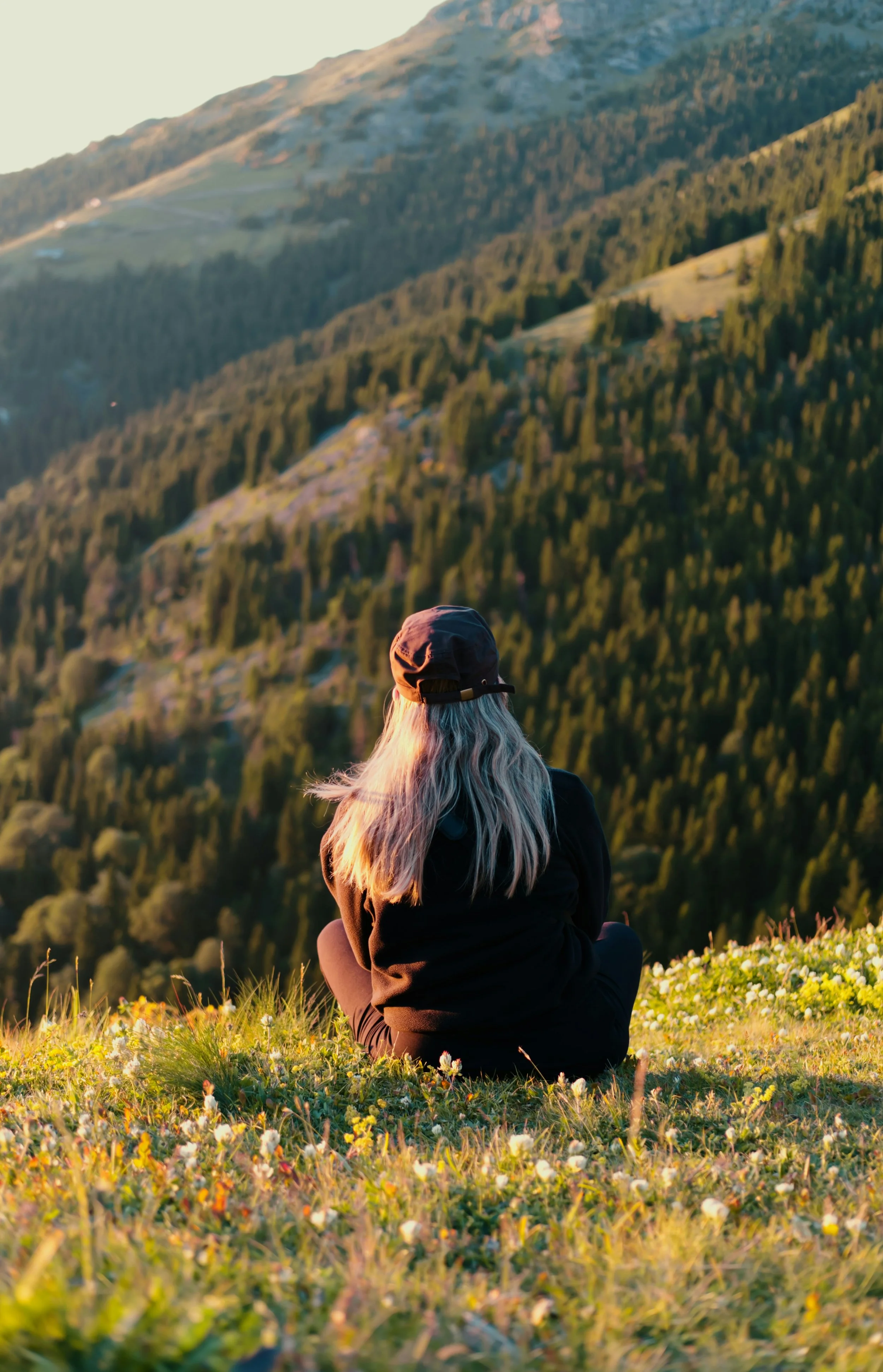 A person with long gray hair wearing a black hat and black jacket sitting on a grassy field filled with small white and yellow flowers, overlooking a lush green mountain landscape during sunset.