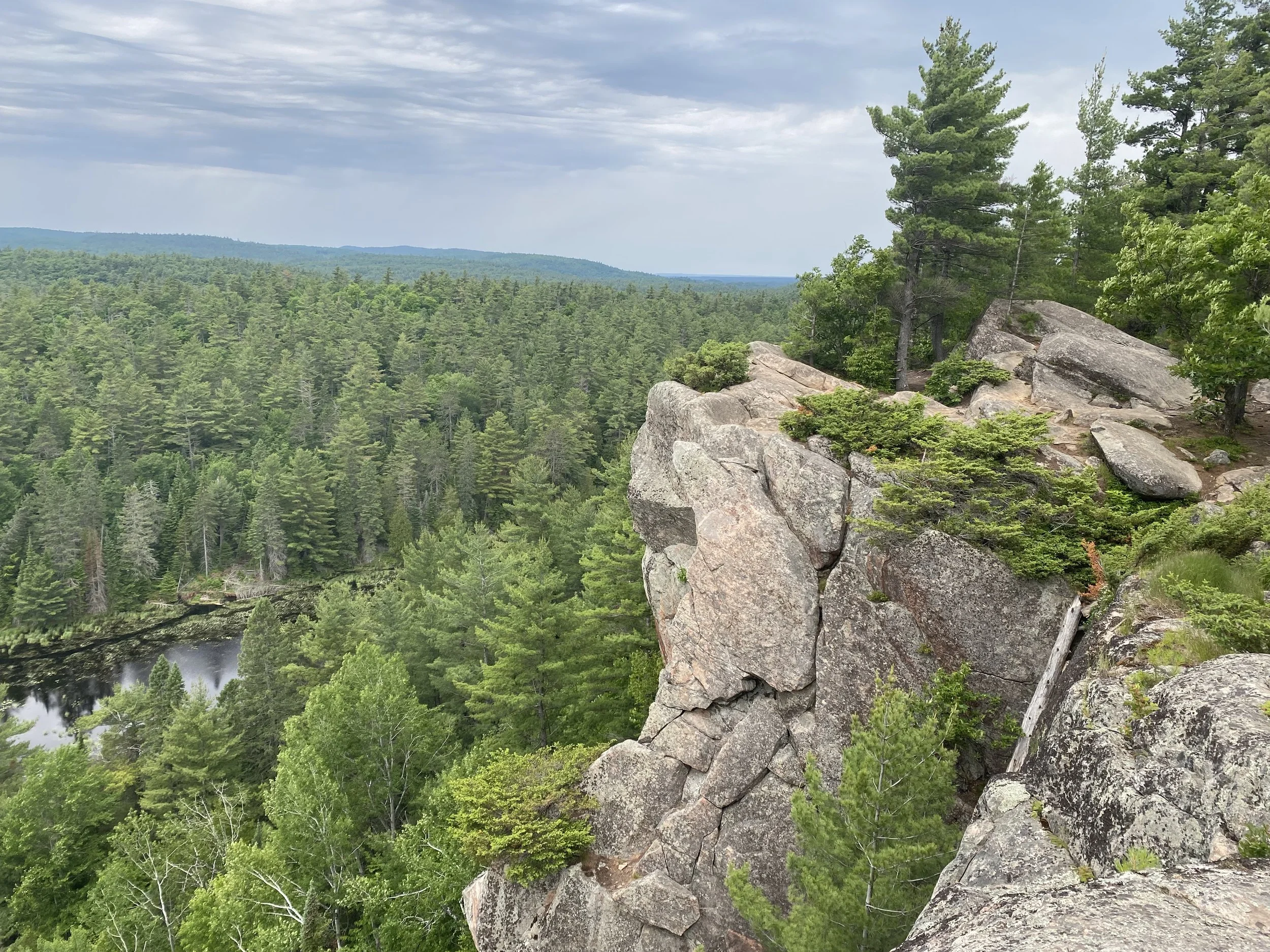A view from a rocky cliff overlooking a dense green forest with a river and distant hills under a cloudy sky.