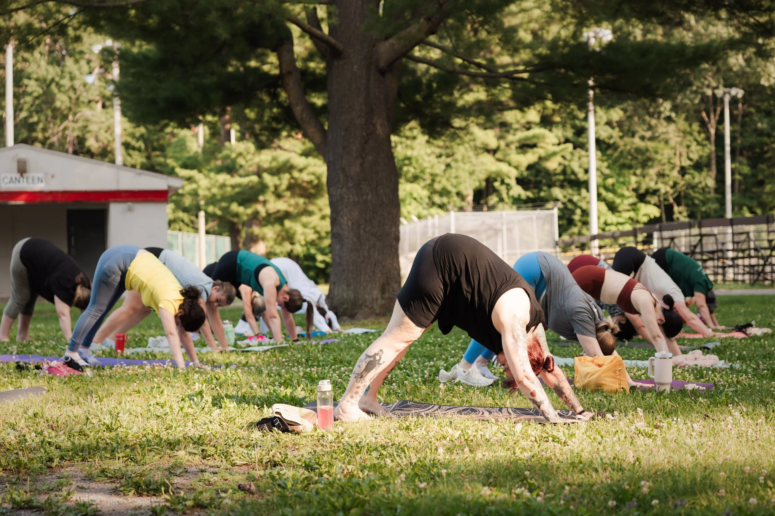 Group of people practicing yoga outdoors on grass in a park with trees in the background.