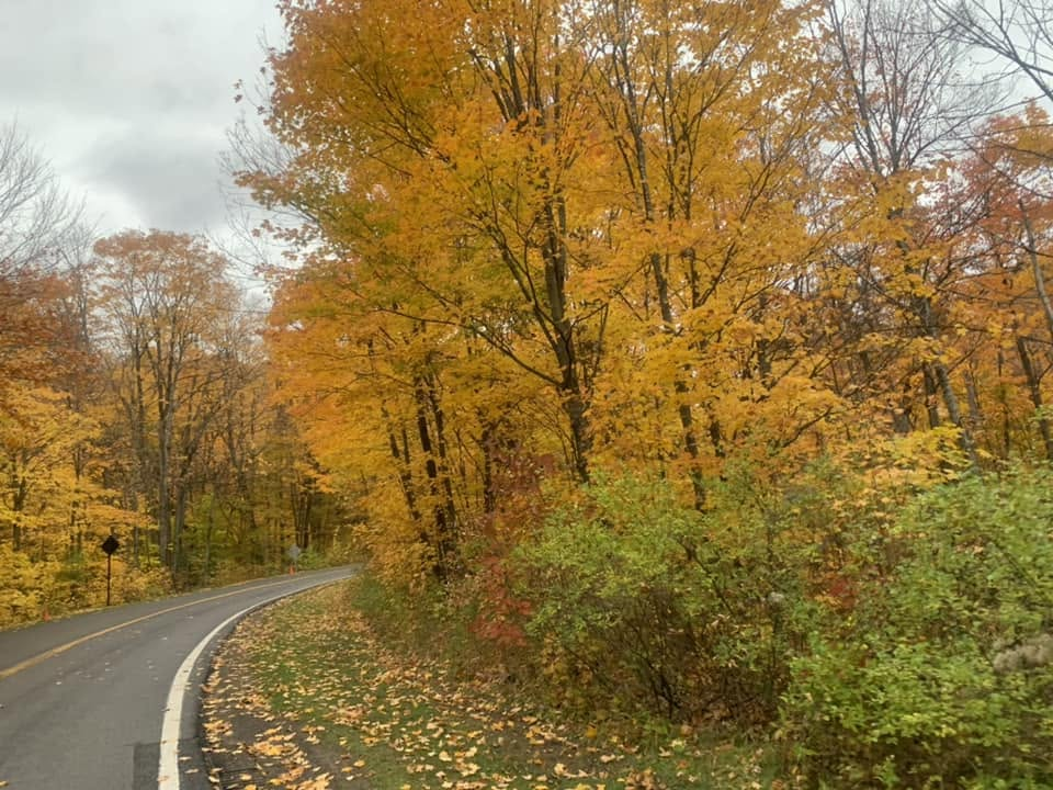 Scenic autumn road surrounded by colourful fall foliage.