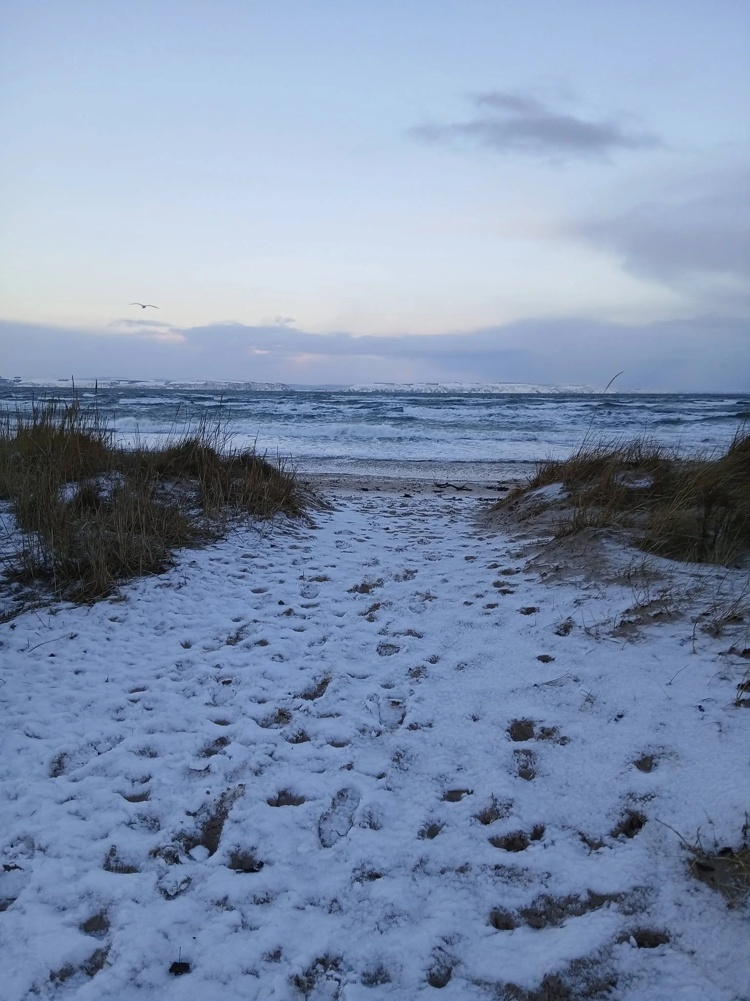 Snowy beach with footprints and sparse grass, cloudy sky, and distant hills.