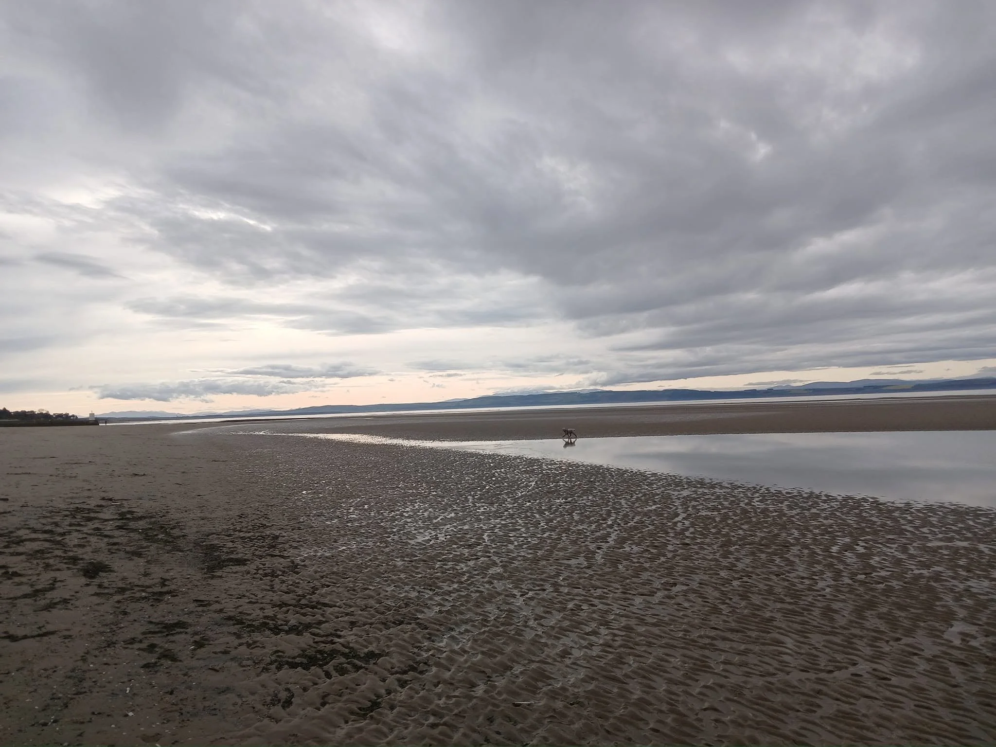 A cloudy sky over a beach with calm water and distant mountains, with a dog walking along the shoreline.