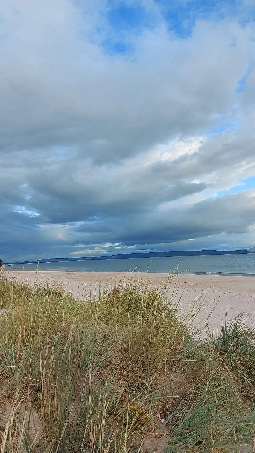 A beach scene with sandy shoreline, tall grasses in the foreground, calm ocean water, and a cloudy sky with patches of blue.