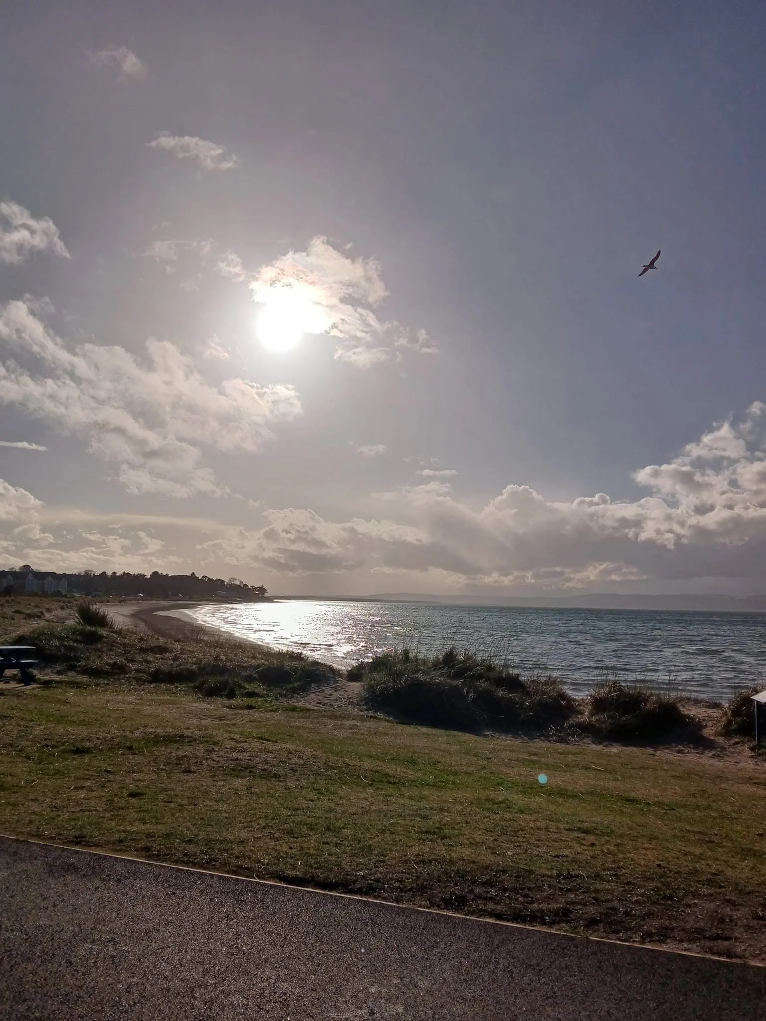 A coastal scene with a sandy beach and a calm ocean, with the sun partially obscured by clouds in the sky, and a bird flying in the air.