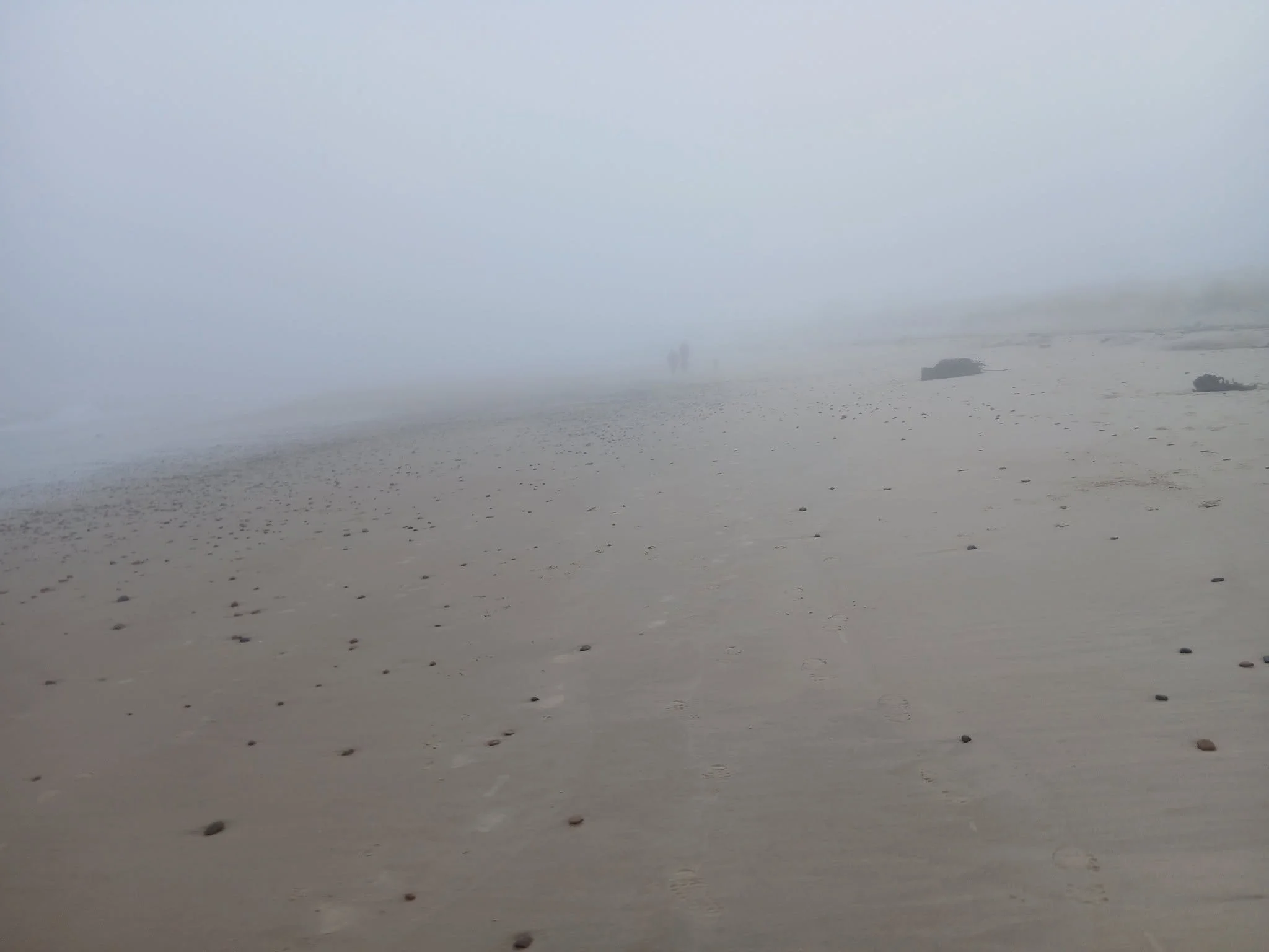 Fuzzy foggy beach scene with two people walking along the shoreline and scattered rocks on the sand.