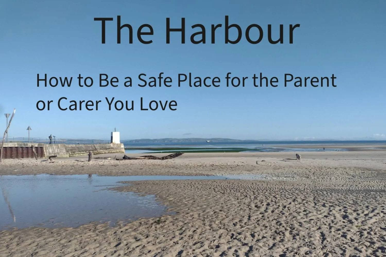 The Harbour (for families and friends of parent carers)