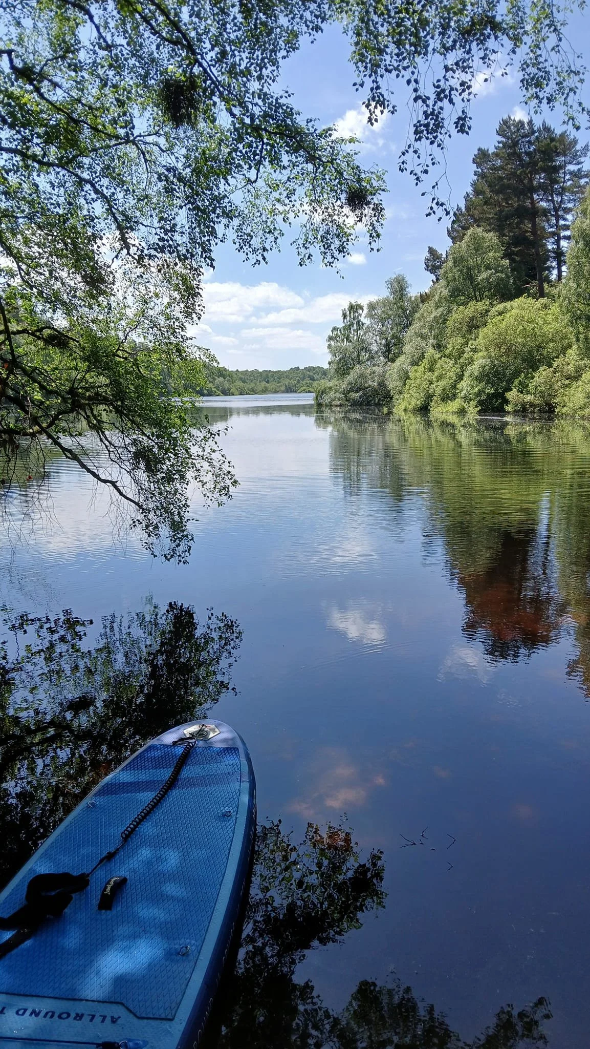 A paddleboard on a calm river surrounded by lush trees under a partly cloudy sky.