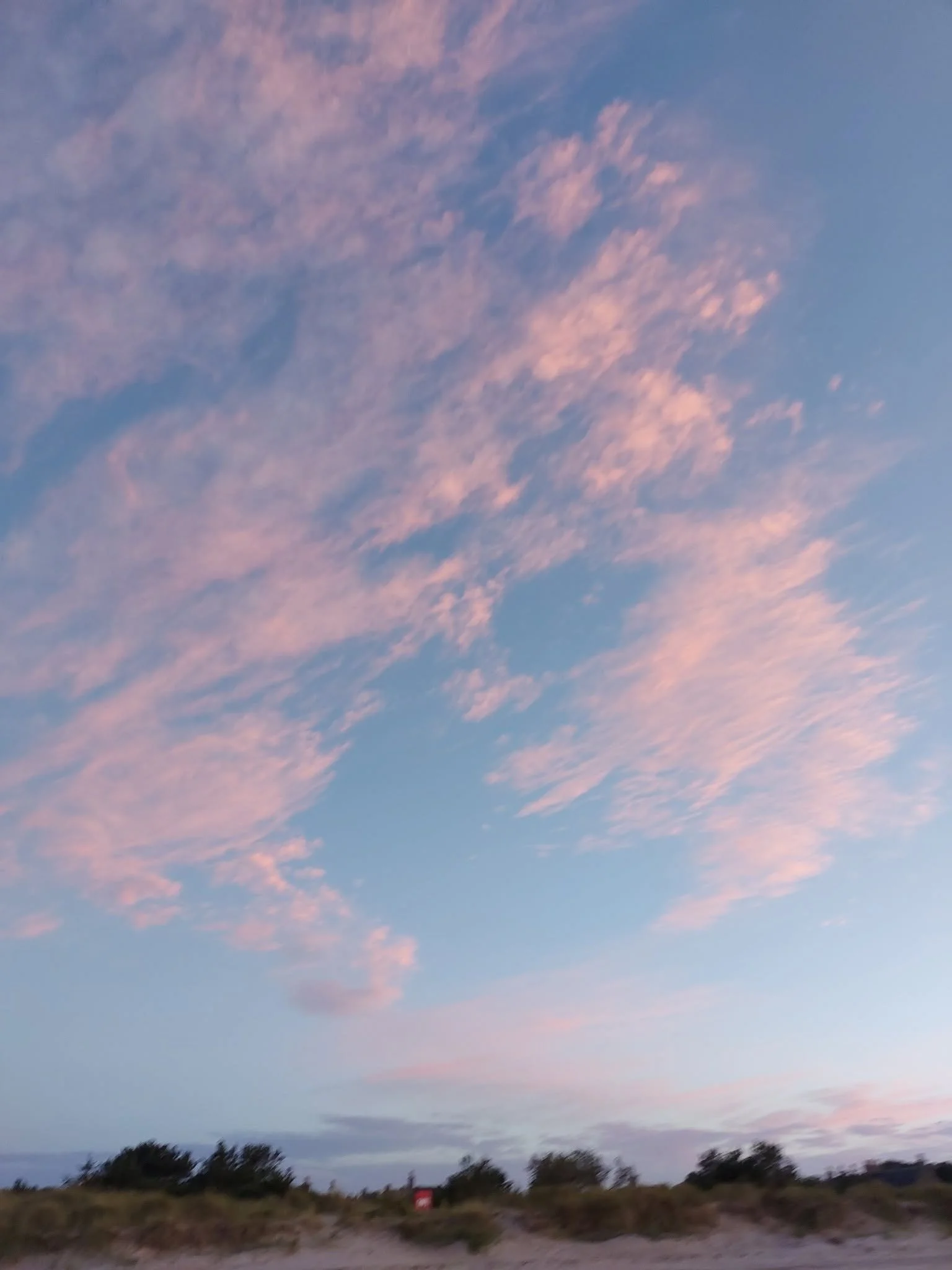 A landscape scene with a partly cloudy sky during sunset, with pink and blue clouds and some trees and shrubs on the ground.