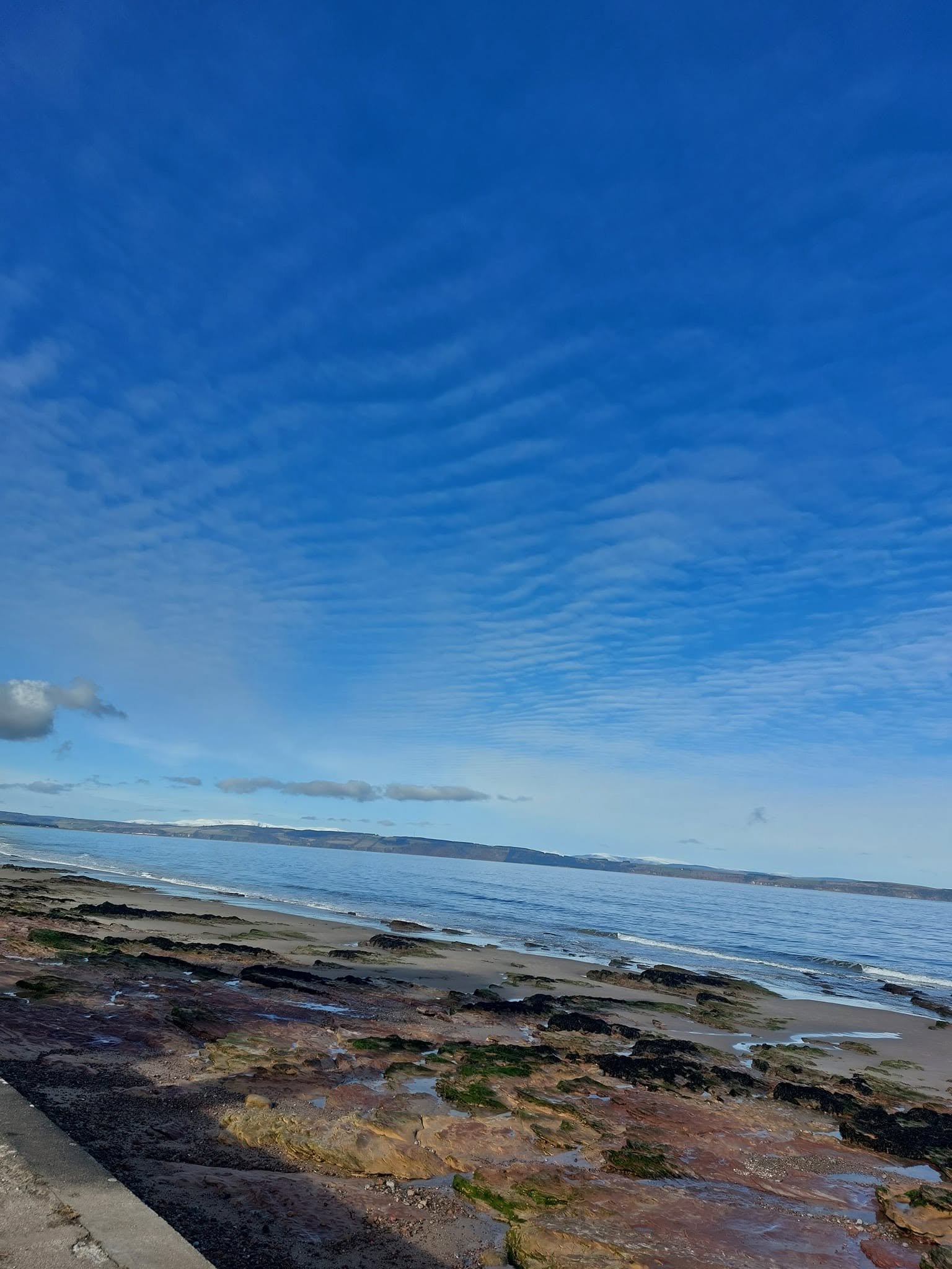 A shoreline with wet rocks and seaweed, a sandy beach, the ocean, and a distant landmass under a partly cloudy sky.