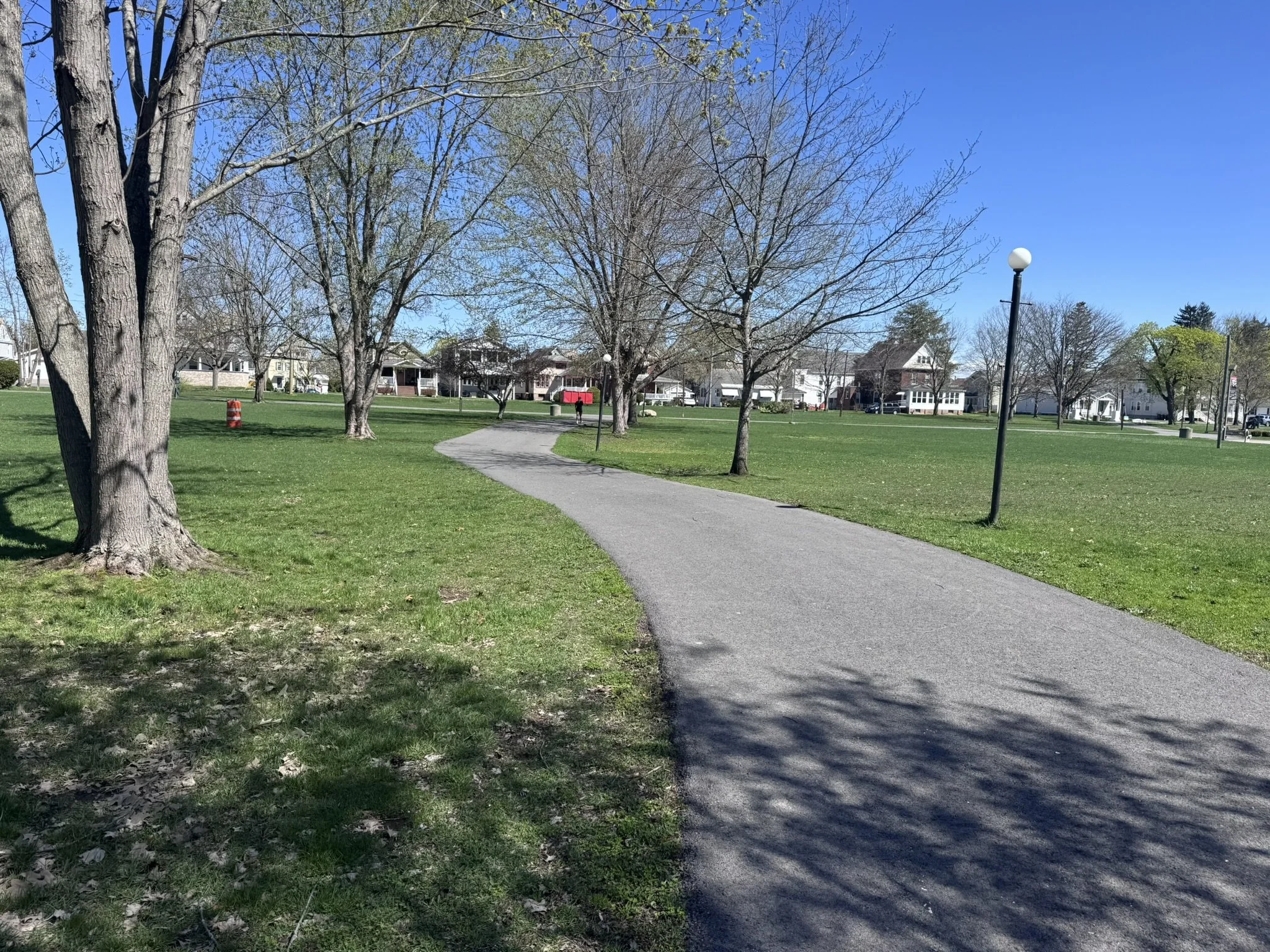 A photo of a park trail in the city.