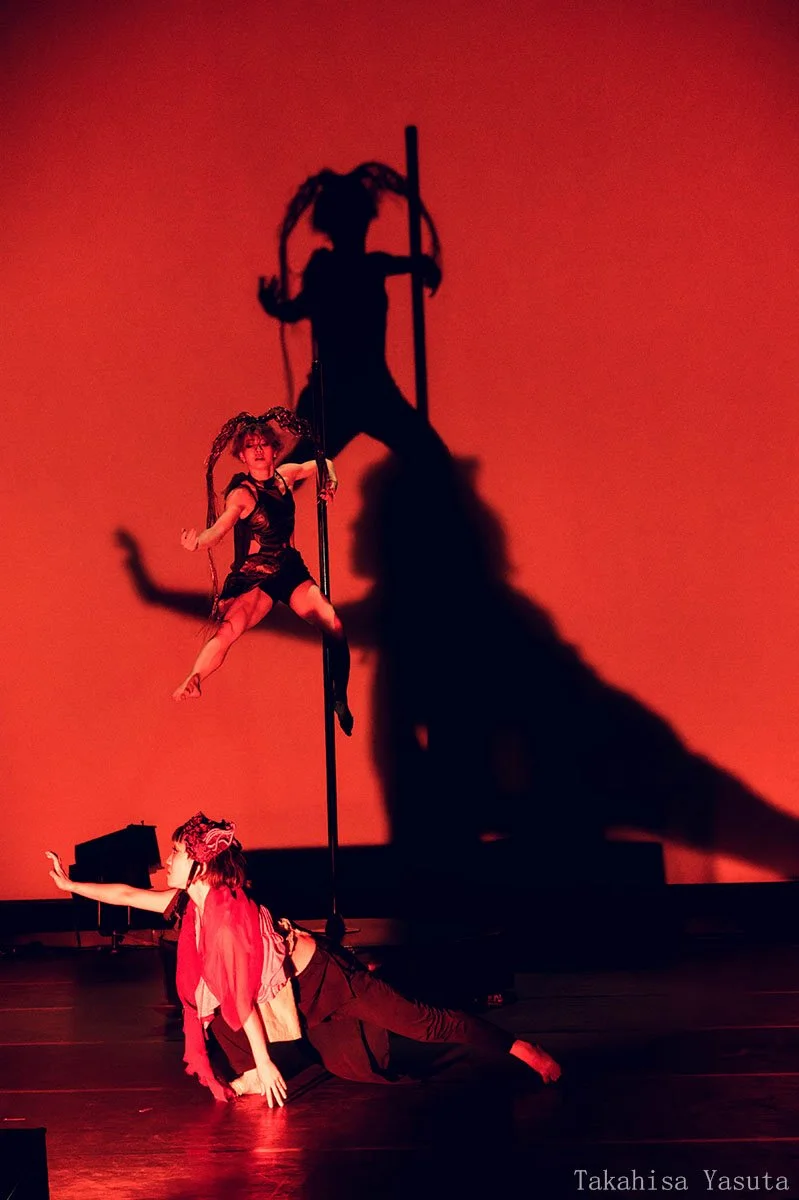 Two performers are on stage during a dance or theater performance with dramatic red lighting. One performer is standing on the ground, reaching out with one arm, while the other is hanging from a vertical pole, with a shadow cast on the red background.