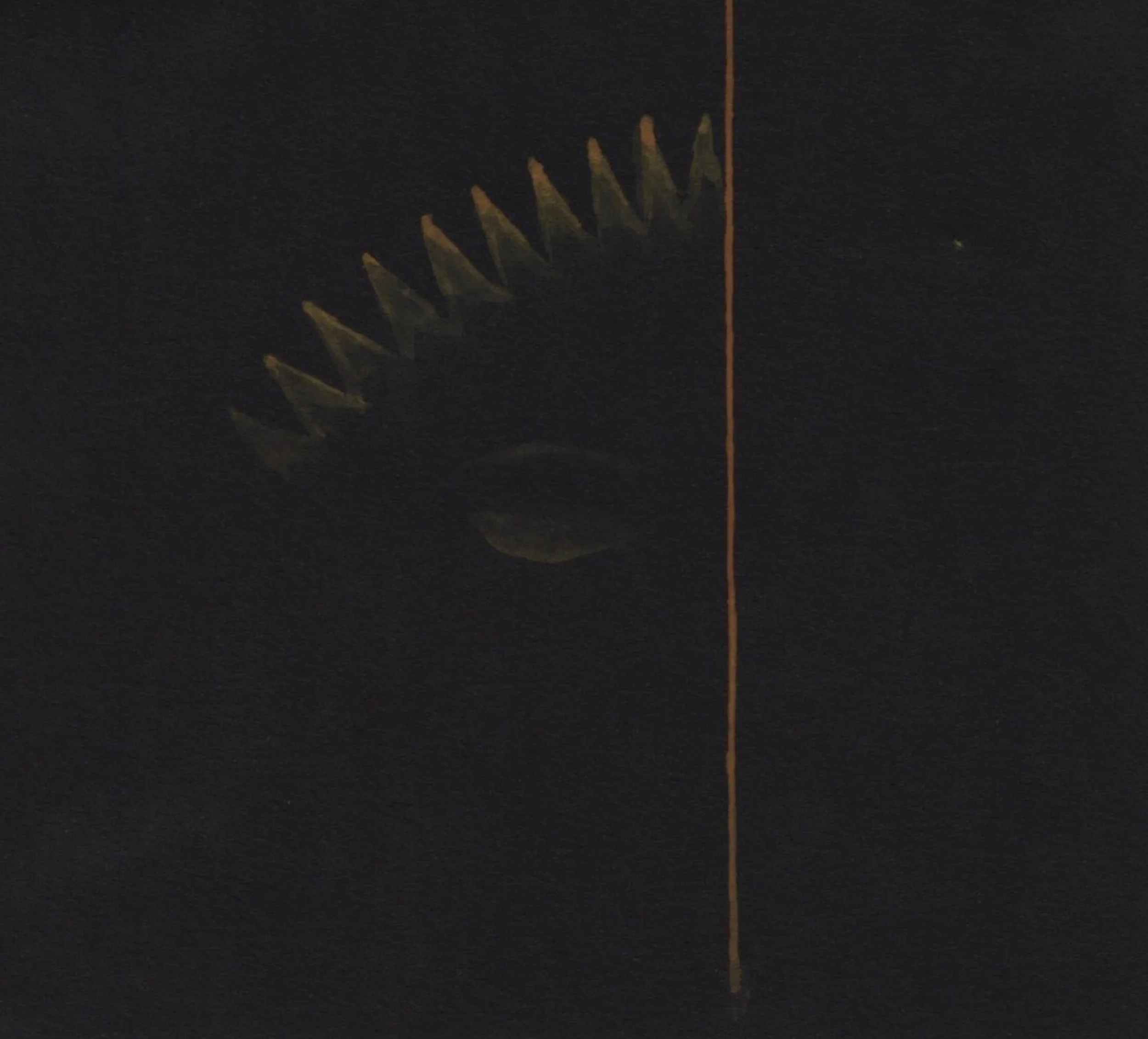 sun with line.jpg