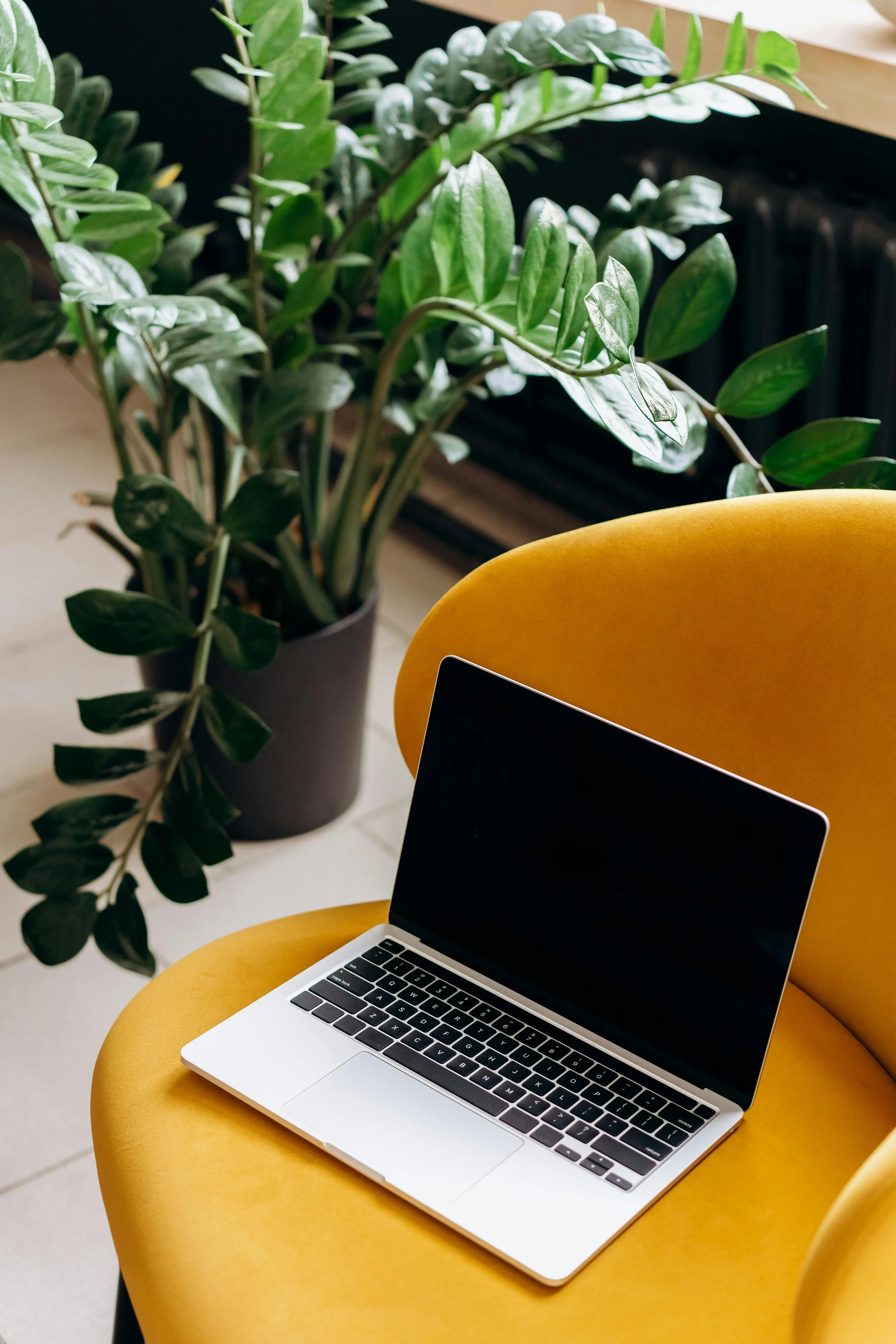 A laptop sitting on a chair next to a plant